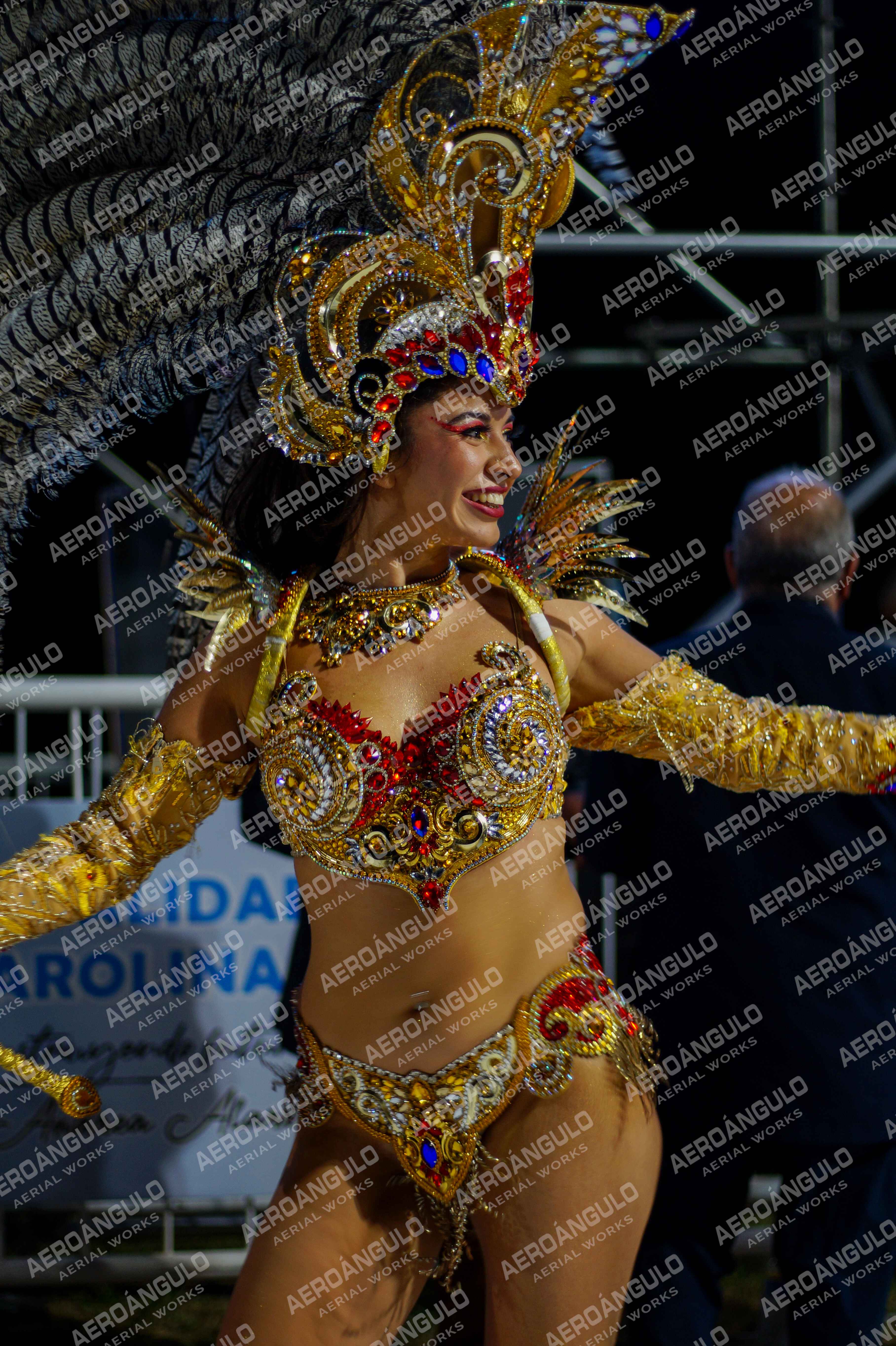 CAROCARNAVALESDIA1 N°334