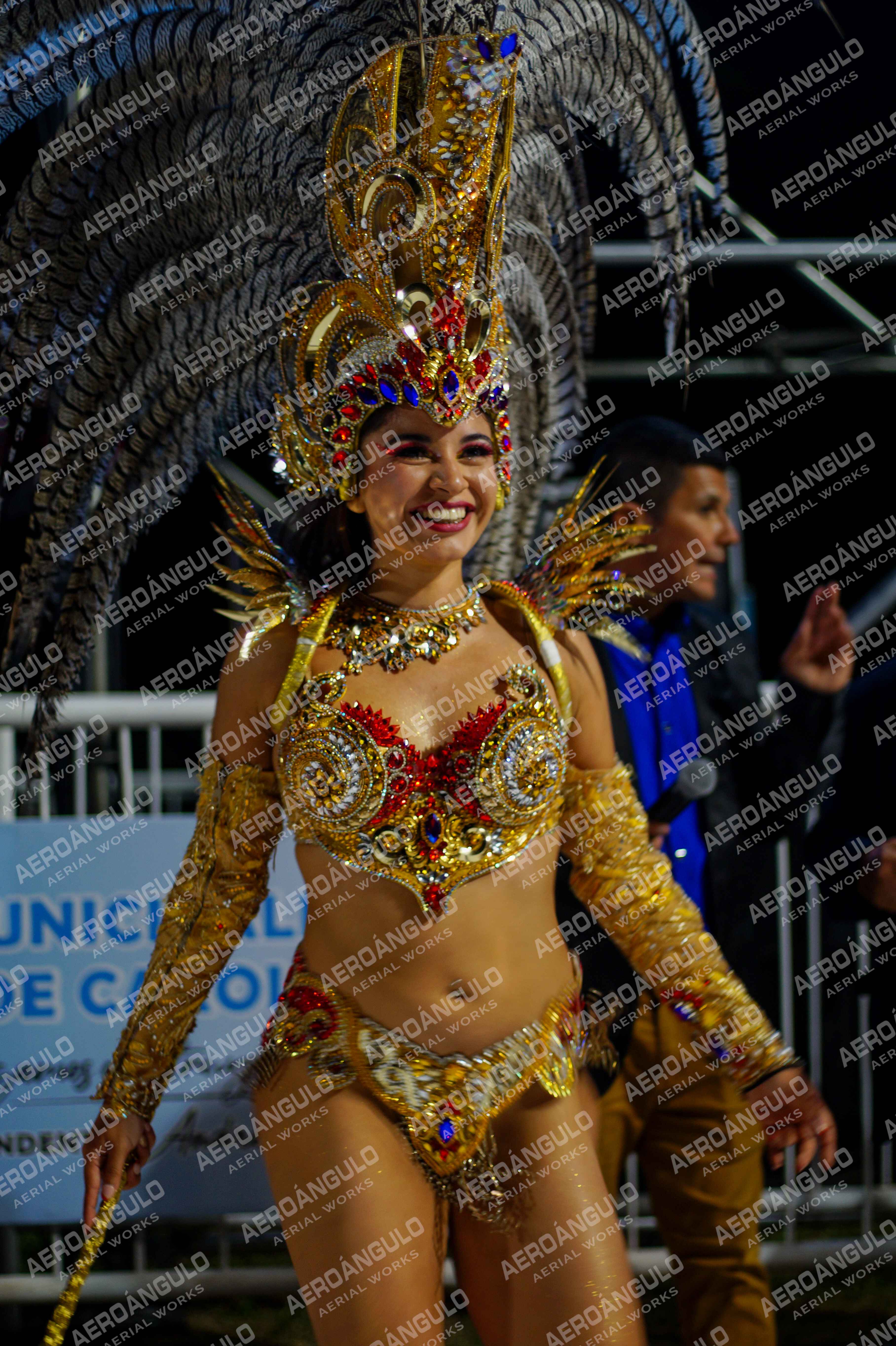 CAROCARNAVALESDIA1 N°335