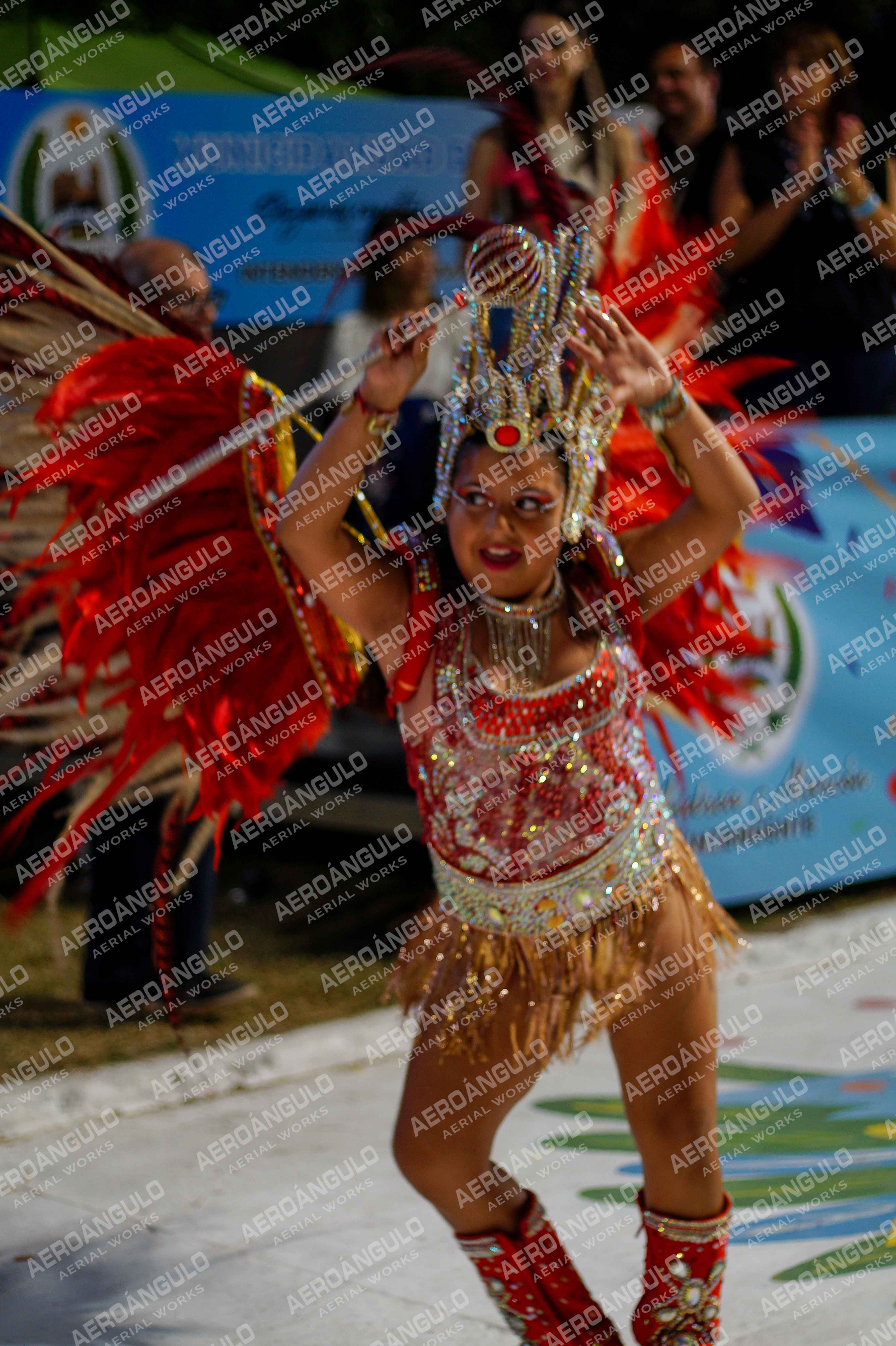 CAROCARNAVALESDIA1 N°336