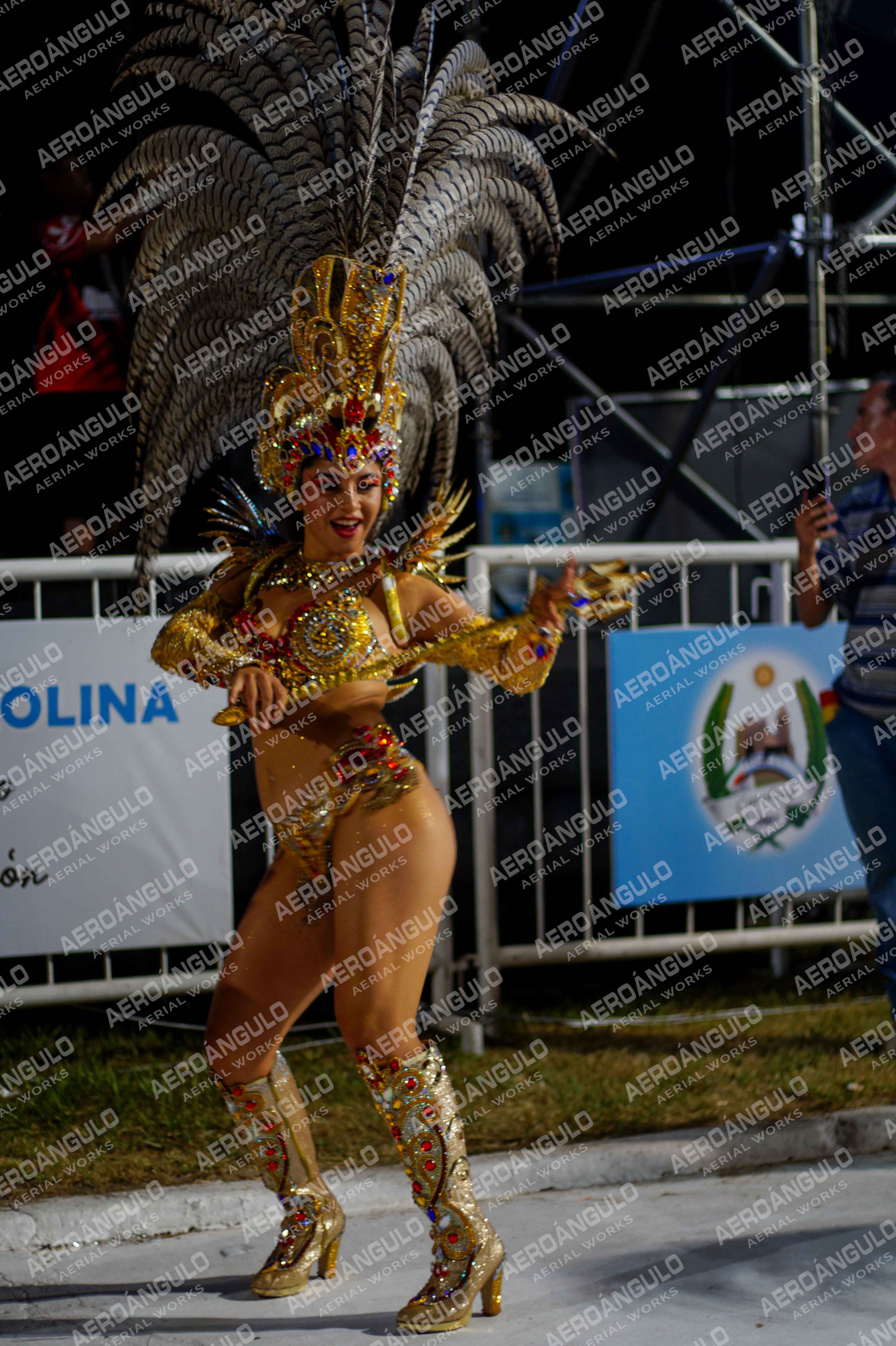 CAROCARNAVALESDIA1 N°337
