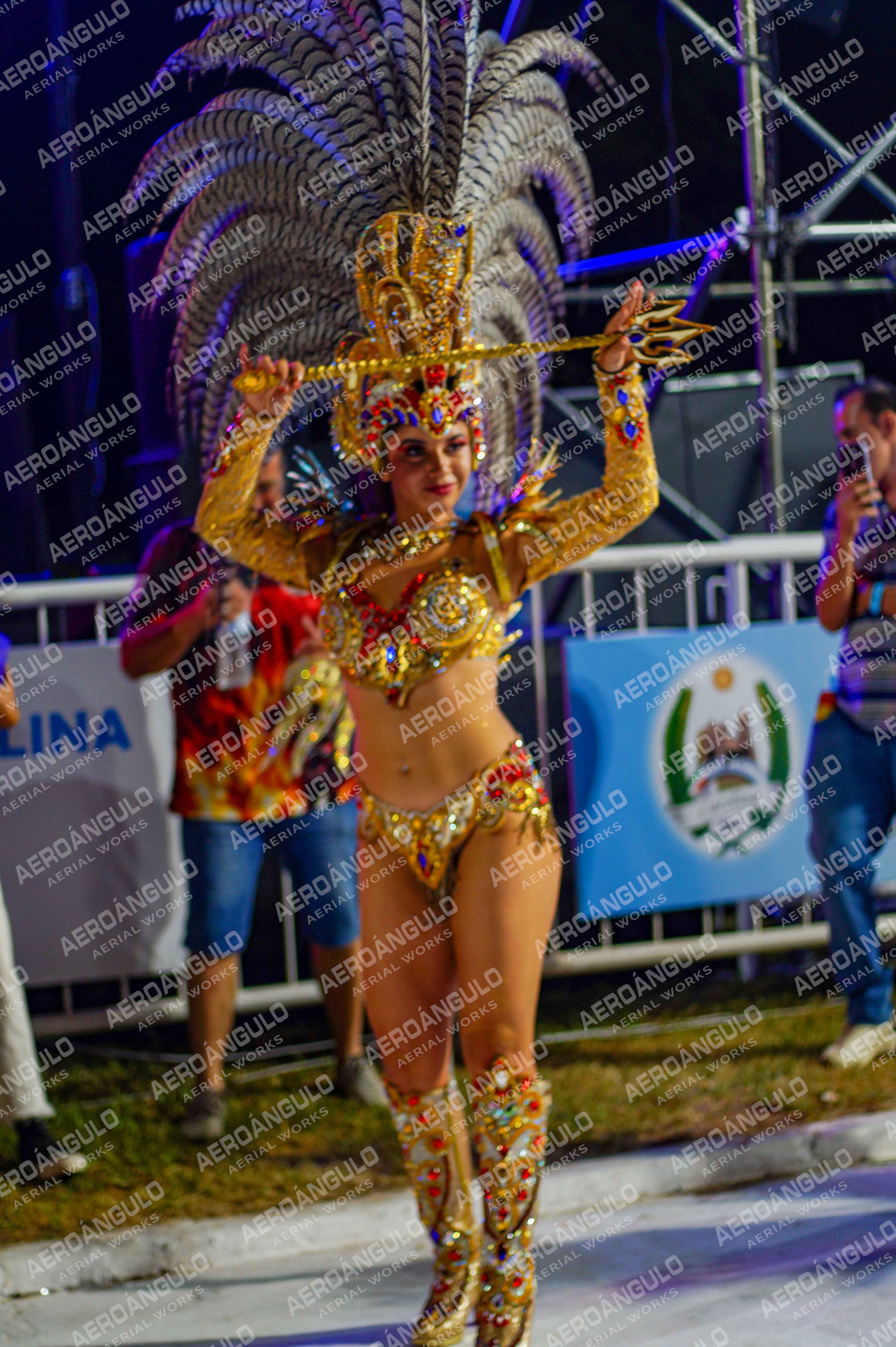 CAROCARNAVALESDIA1 N°339