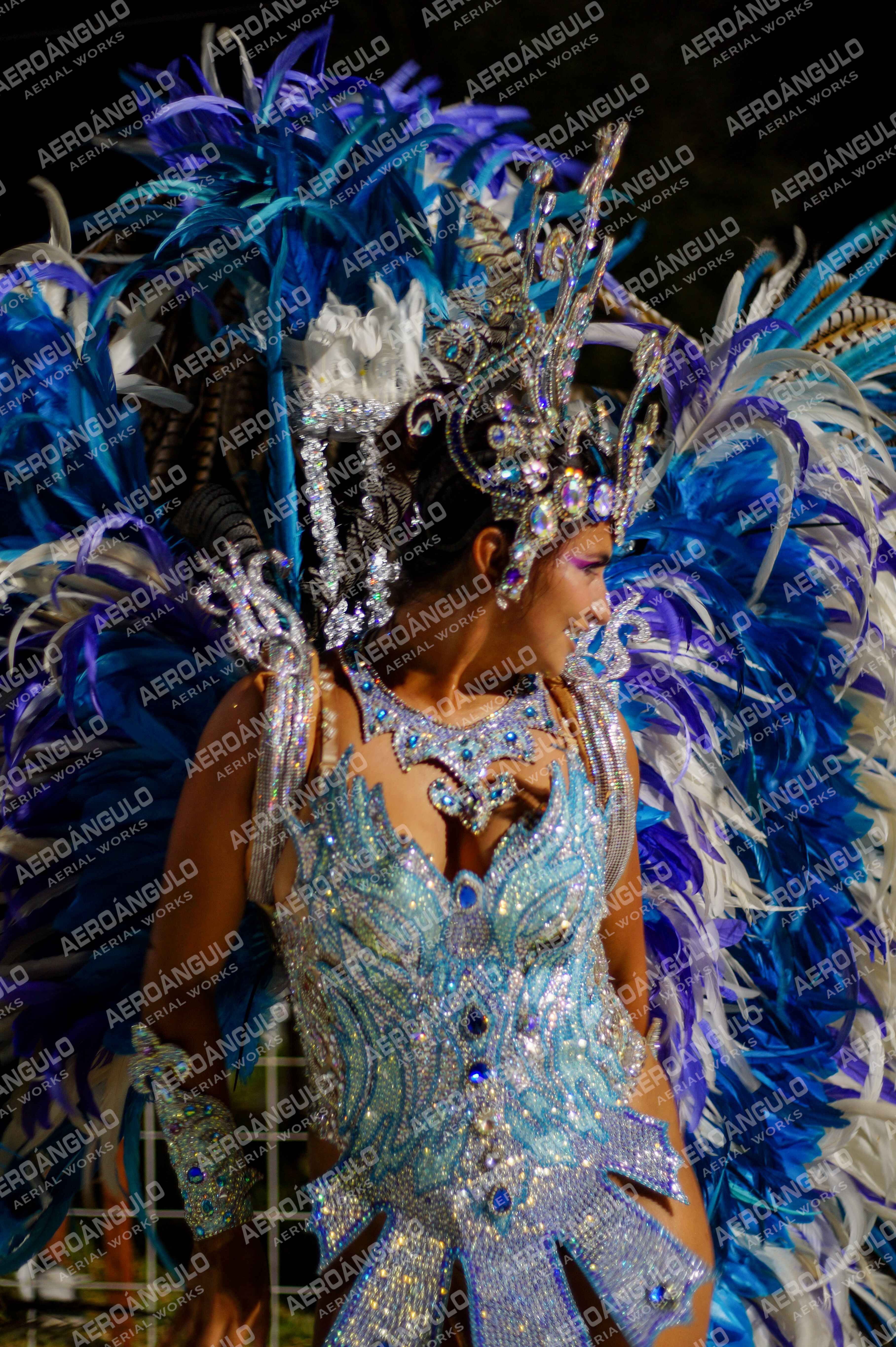 CAROCARNAVALESDIA1 N°342