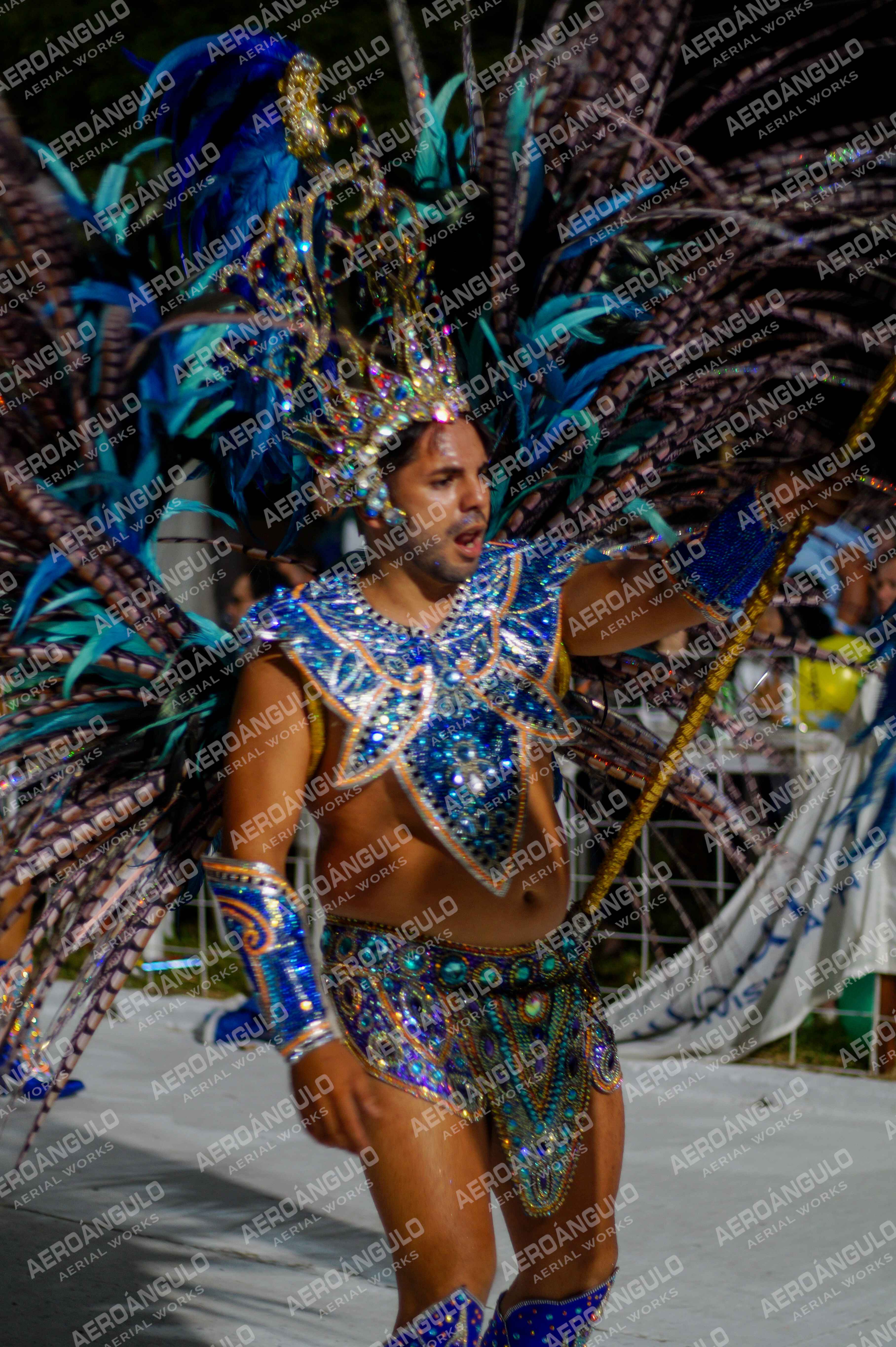 CAROCARNAVALESDIA1 N°343