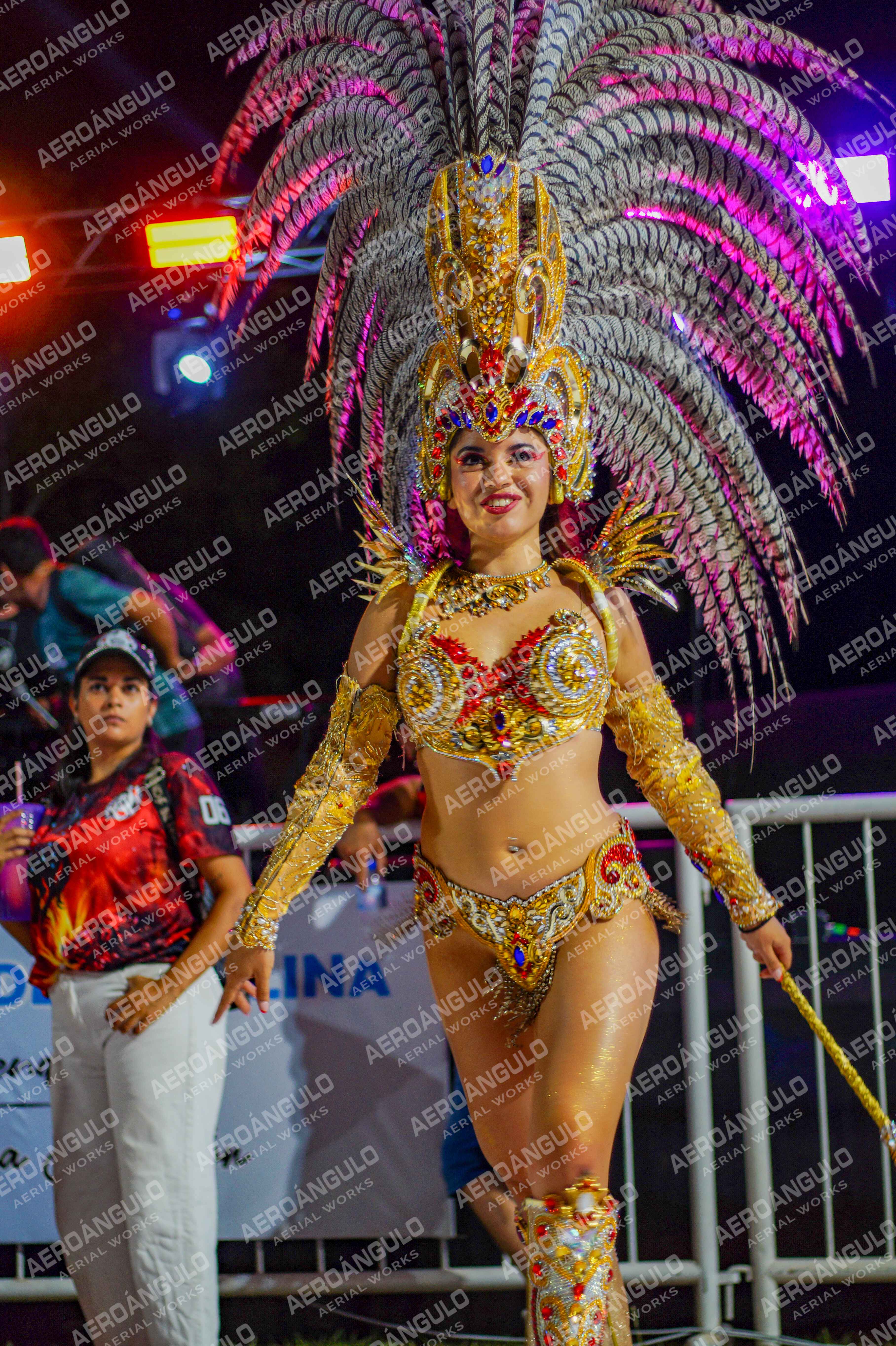CAROCARNAVALESDIA1 N°347
