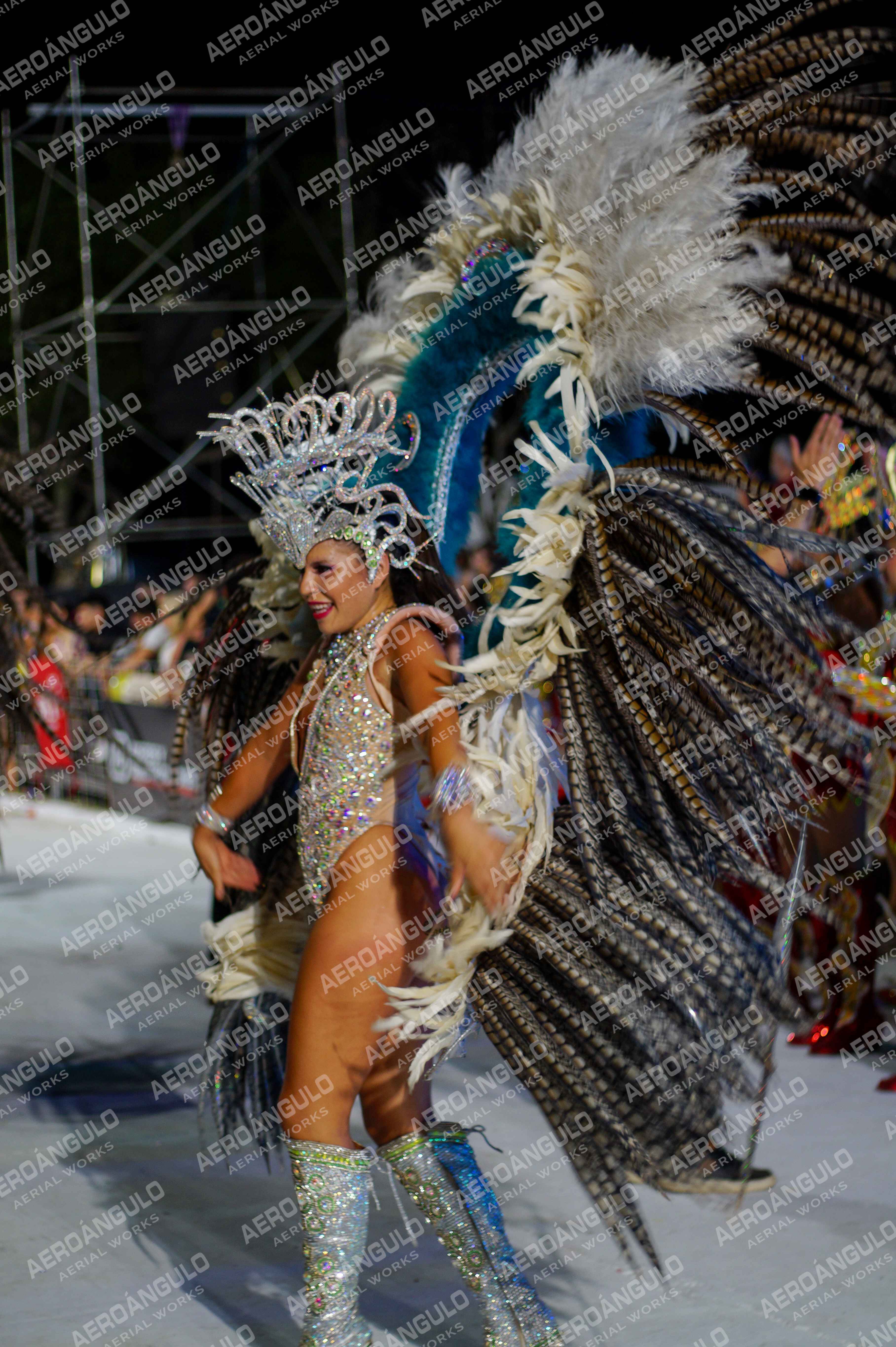 CAROCARNAVALESDIA1 N°348