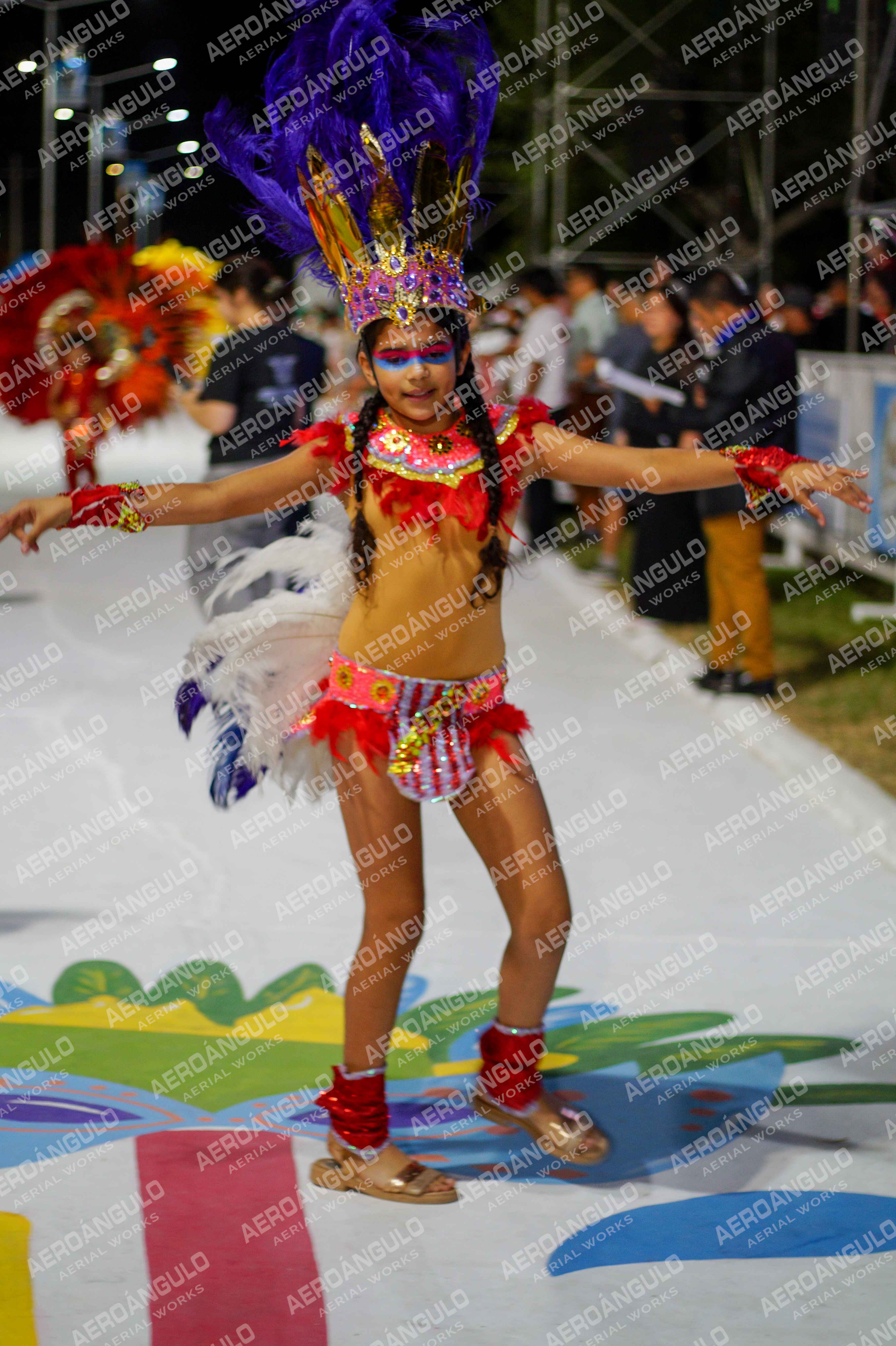 CAROCARNAVALESDIA1 N°35