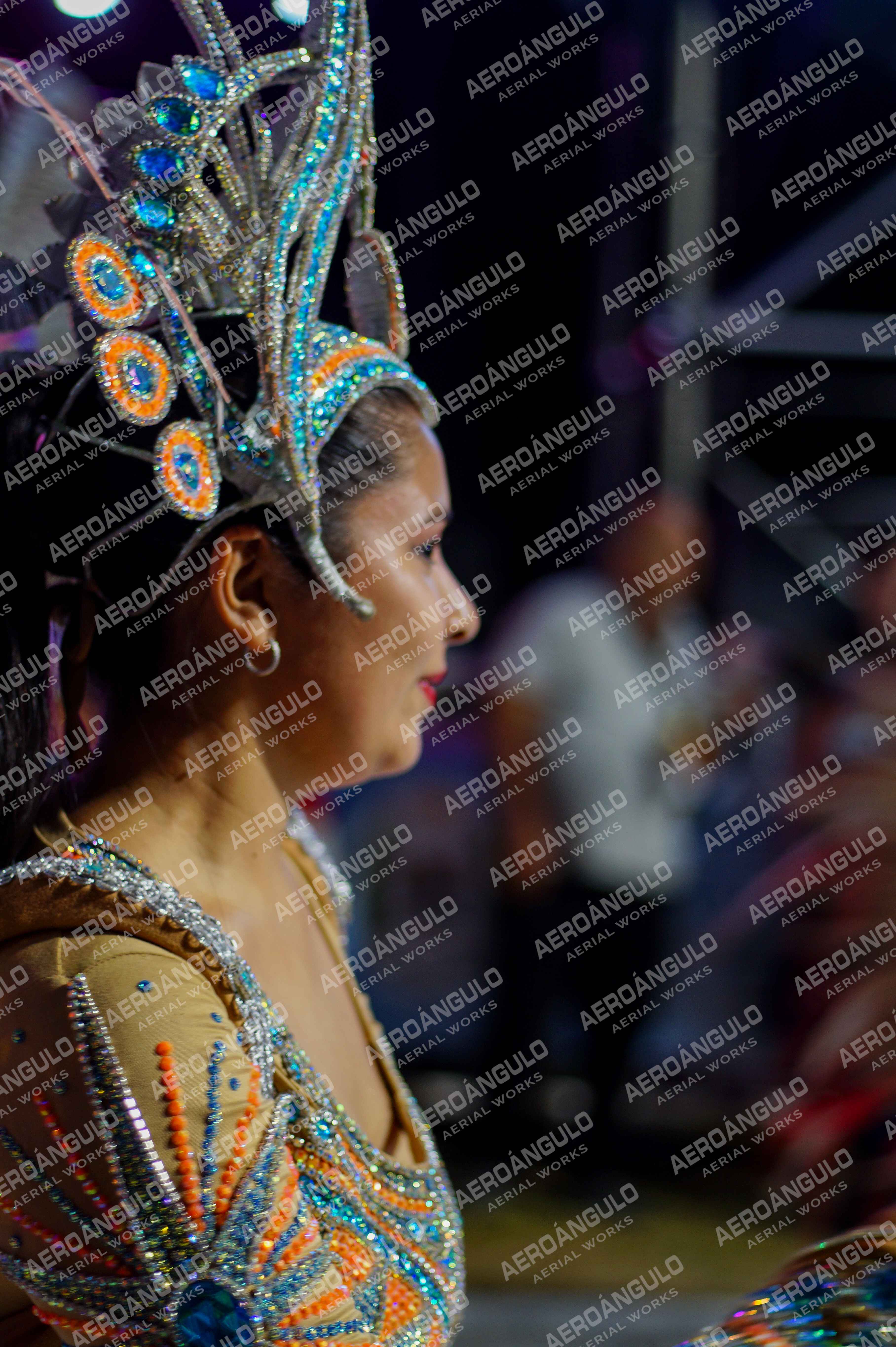 CAROCARNAVALESDIA1 N°350