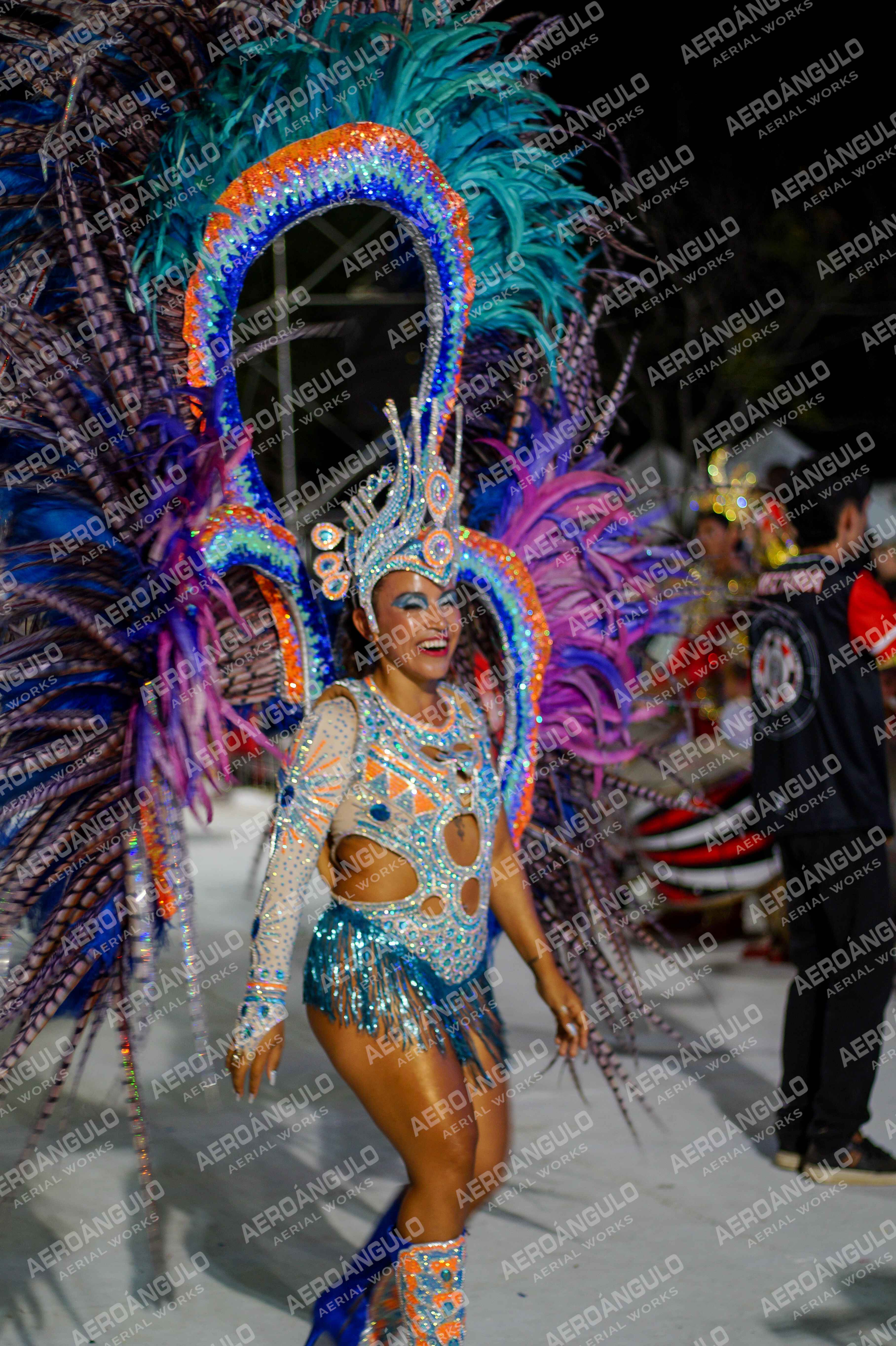 CAROCARNAVALESDIA1 N°351