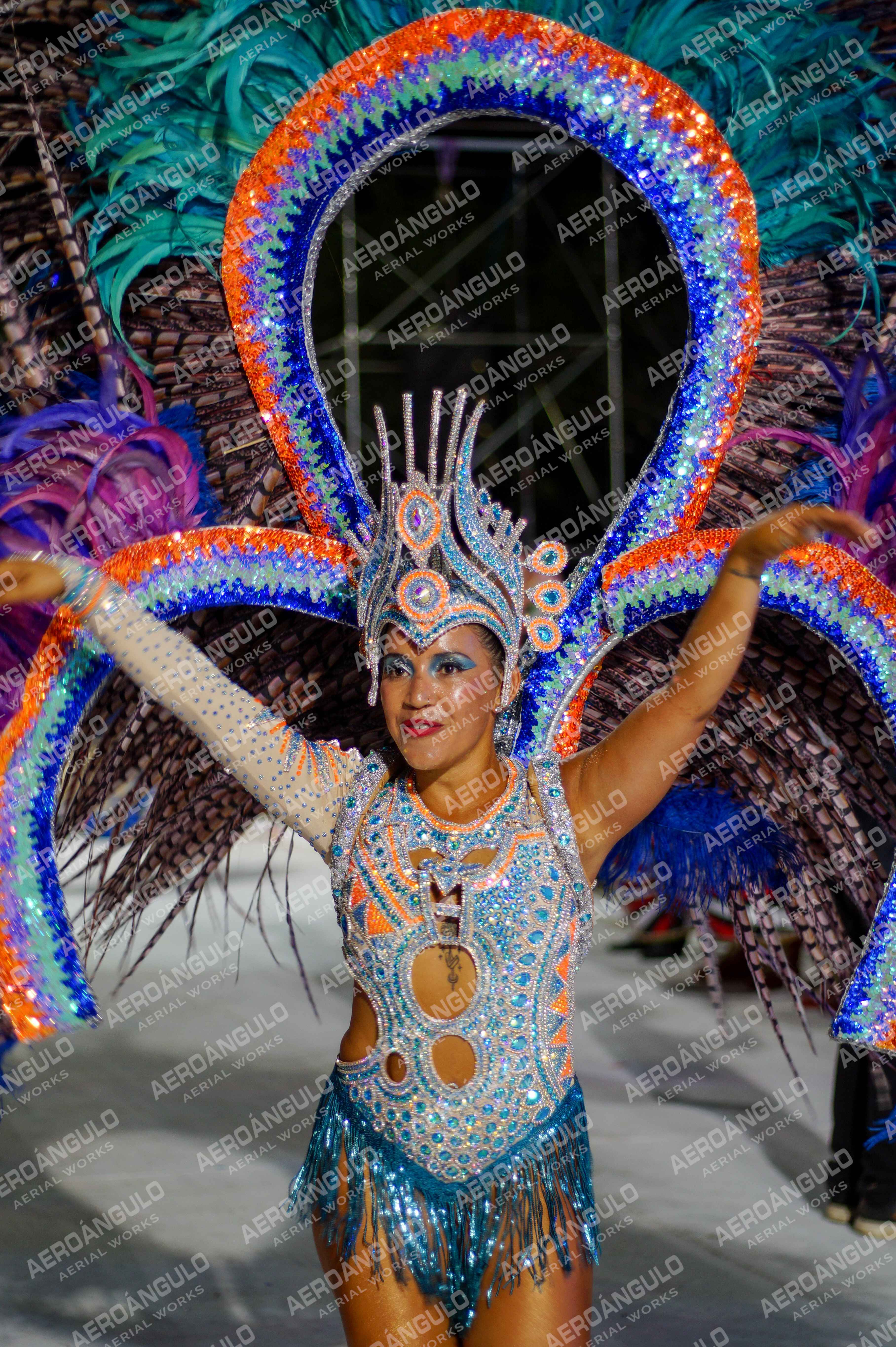CAROCARNAVALESDIA1 N°352