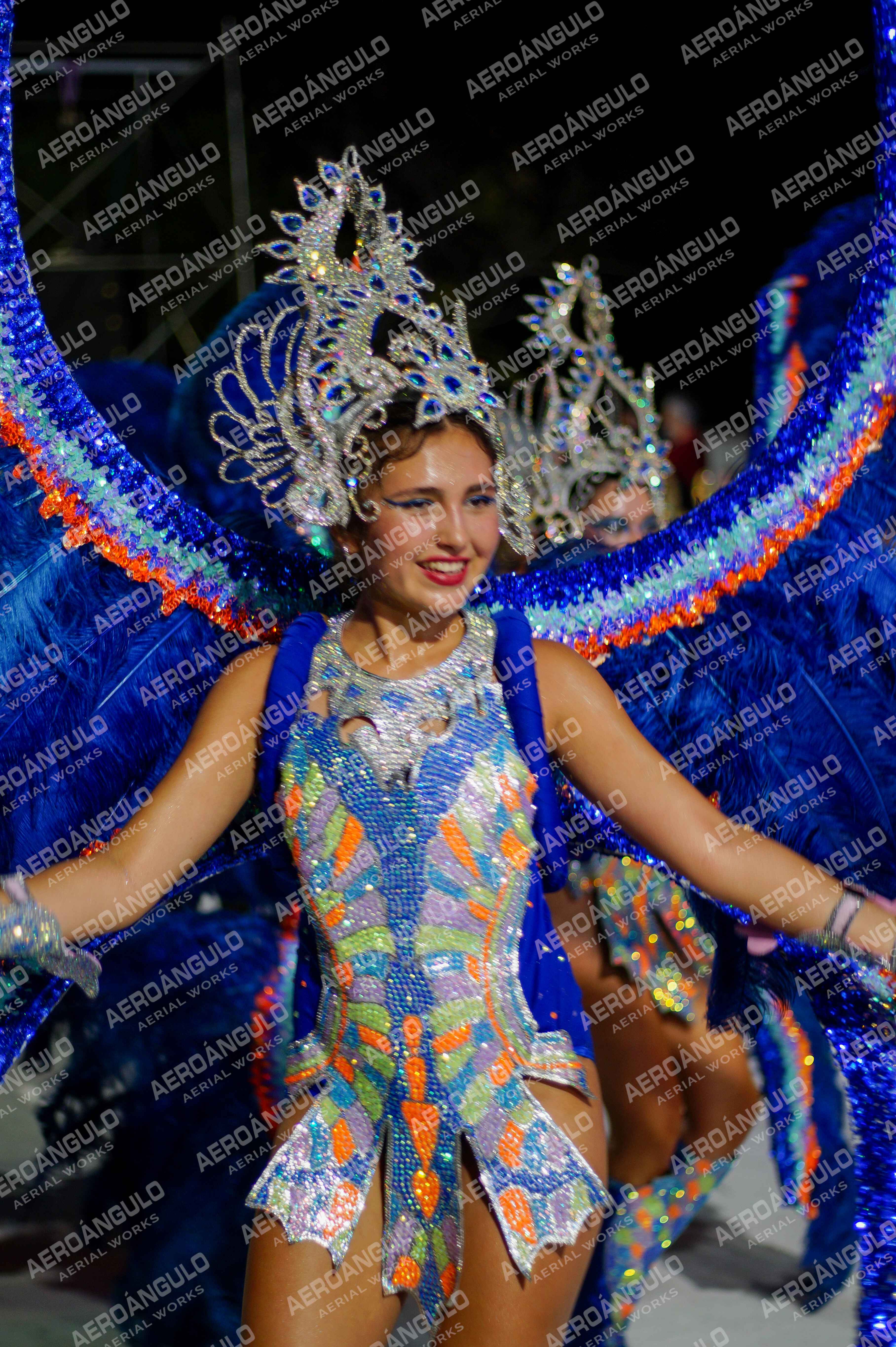 CAROCARNAVALESDIA1 N°355