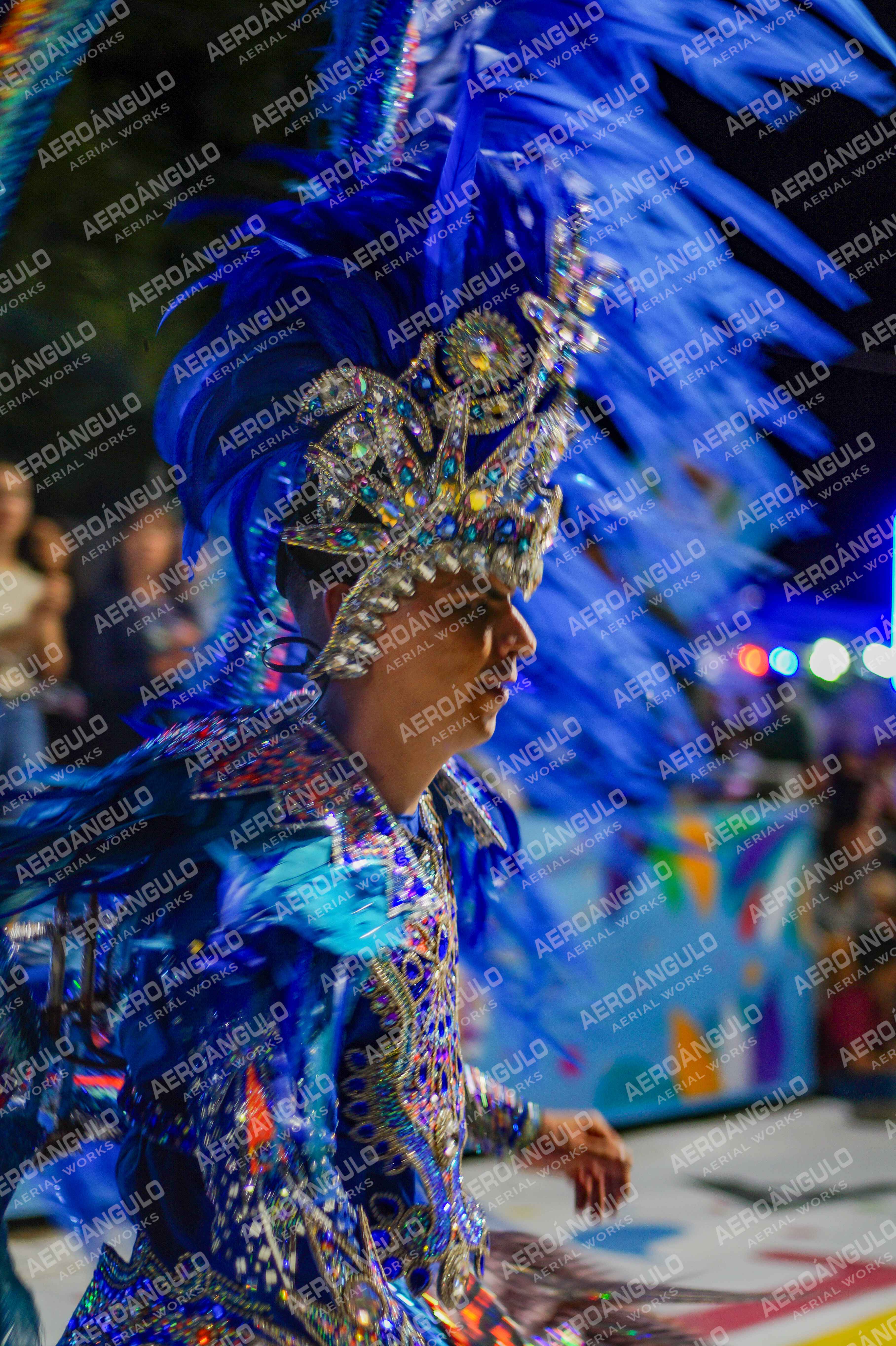 CAROCARNAVALESDIA1 N°356