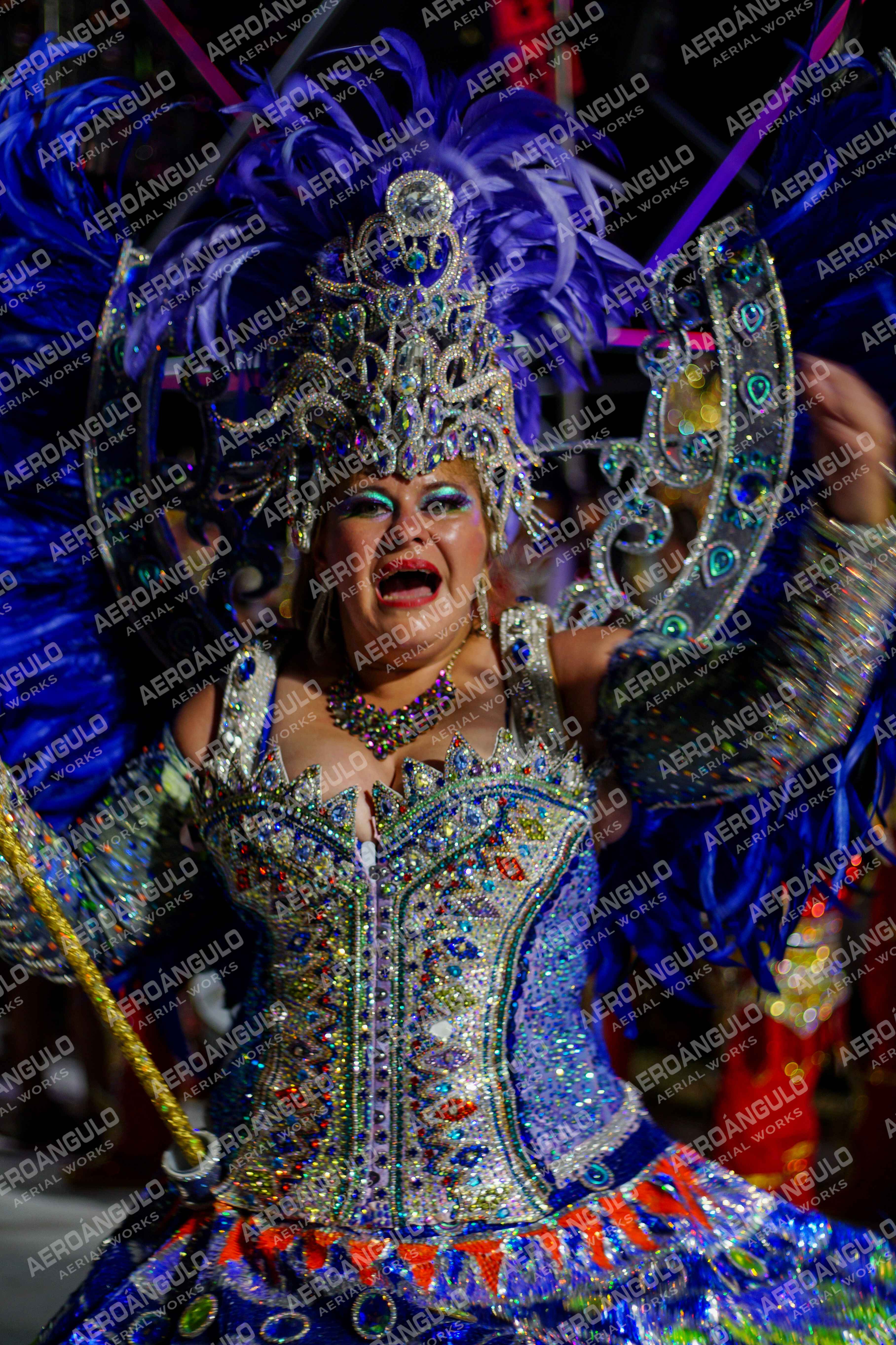 CAROCARNAVALESDIA1 N°357