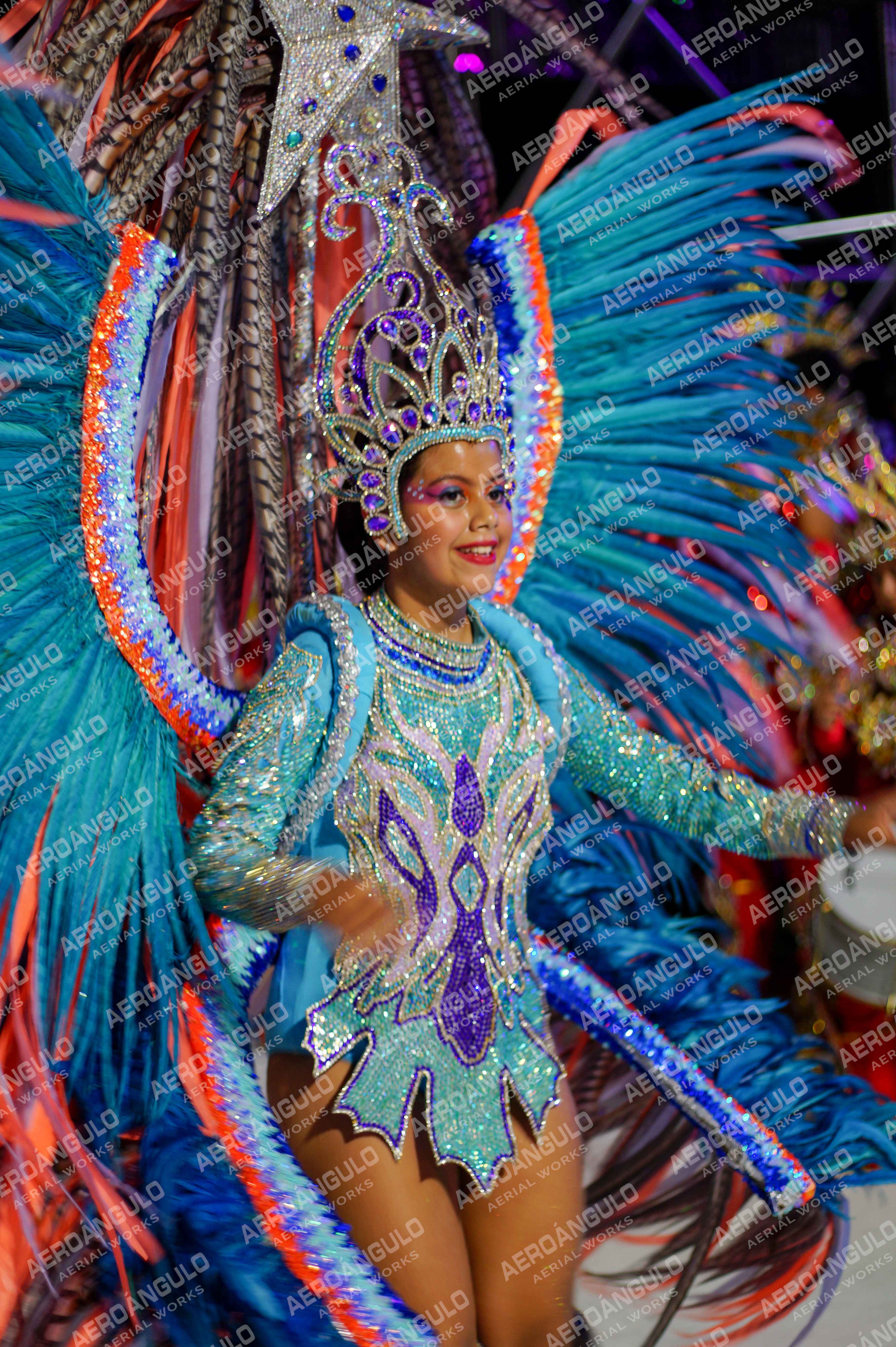 CAROCARNAVALESDIA1 N°359