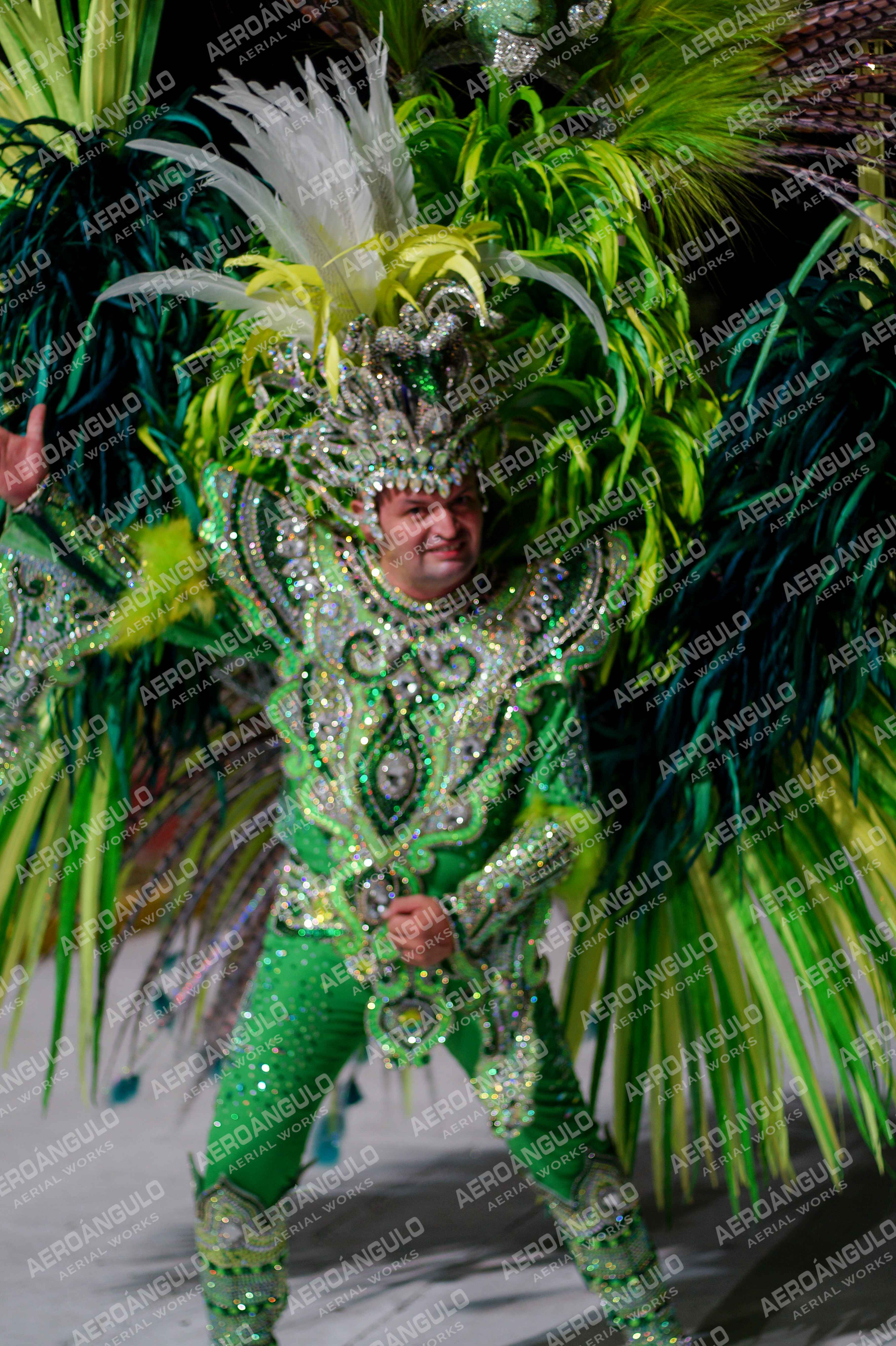 CAROCARNAVALESDIA1 N°363