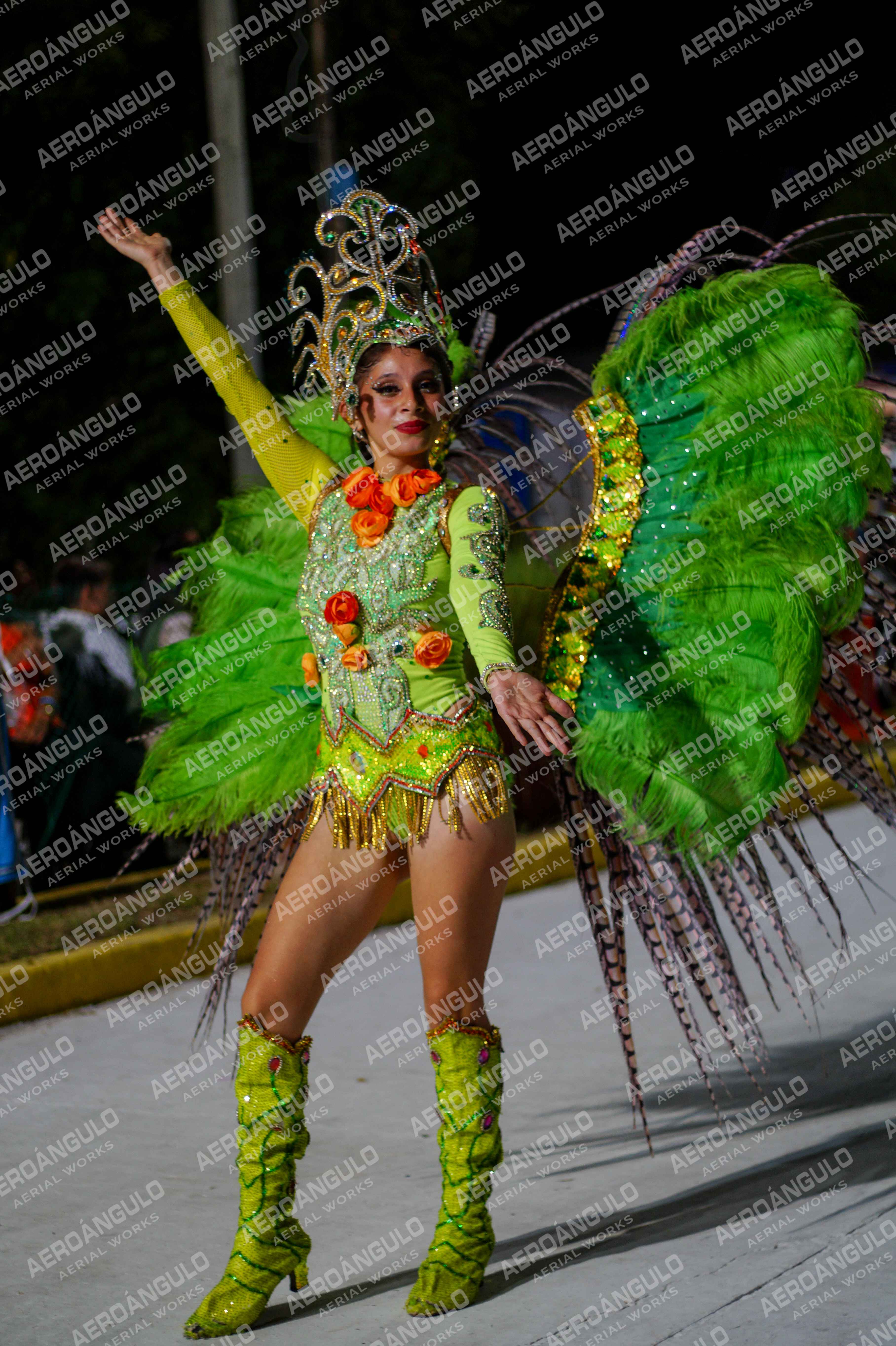 CAROCARNAVALESDIA1 N°364