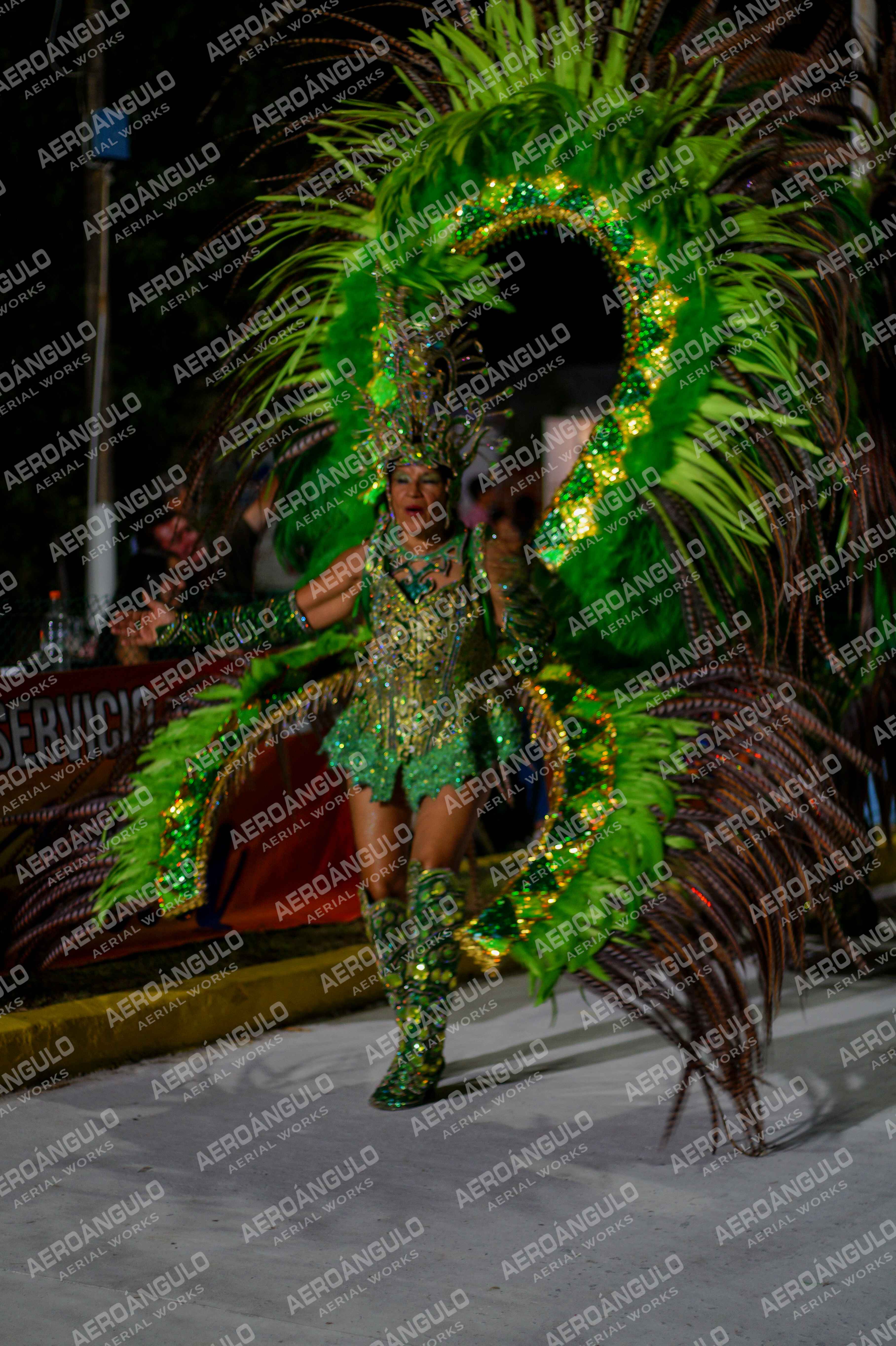 CAROCARNAVALESDIA1 N°365