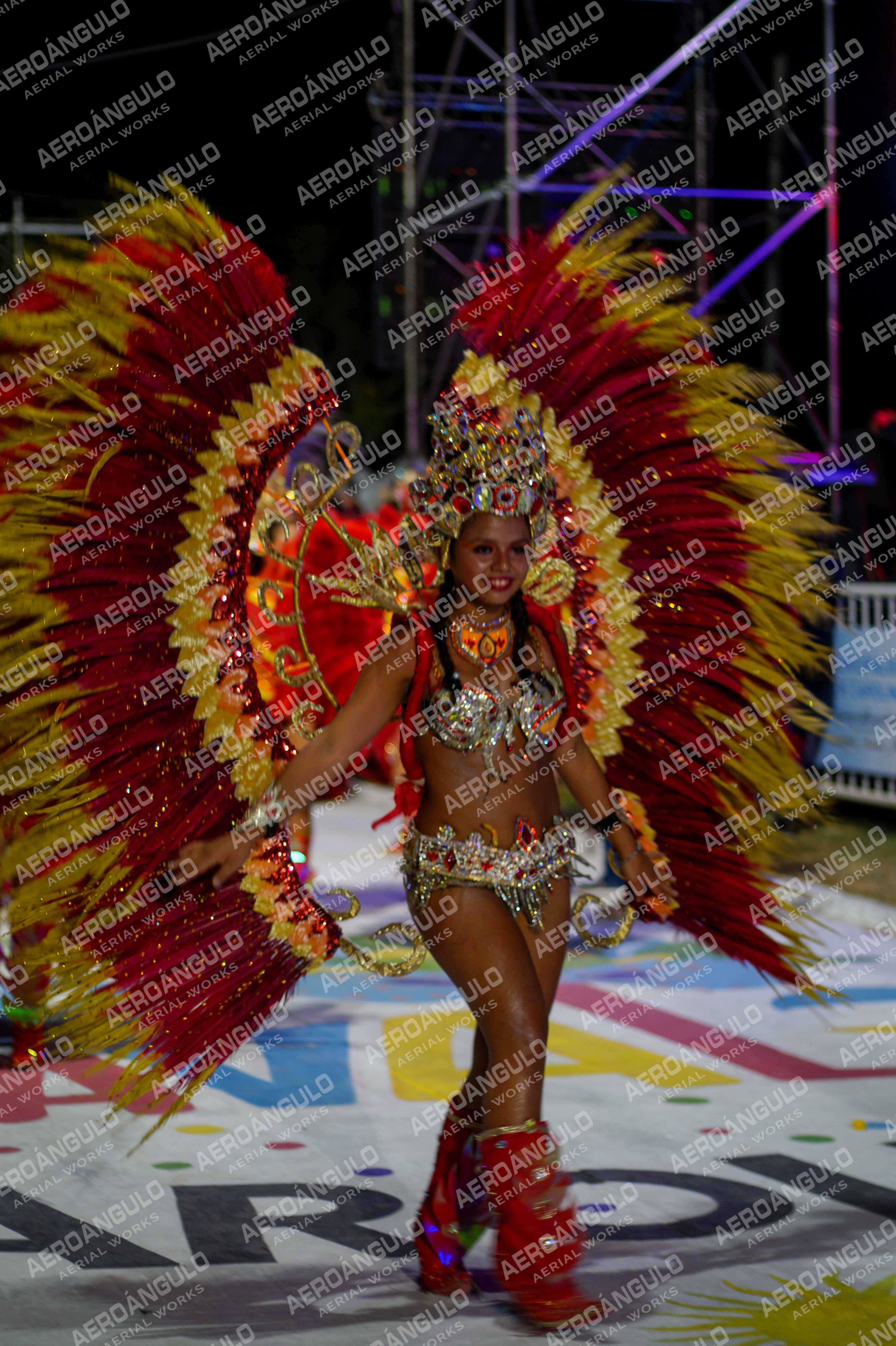 CAROCARNAVALESDIA1 N°368