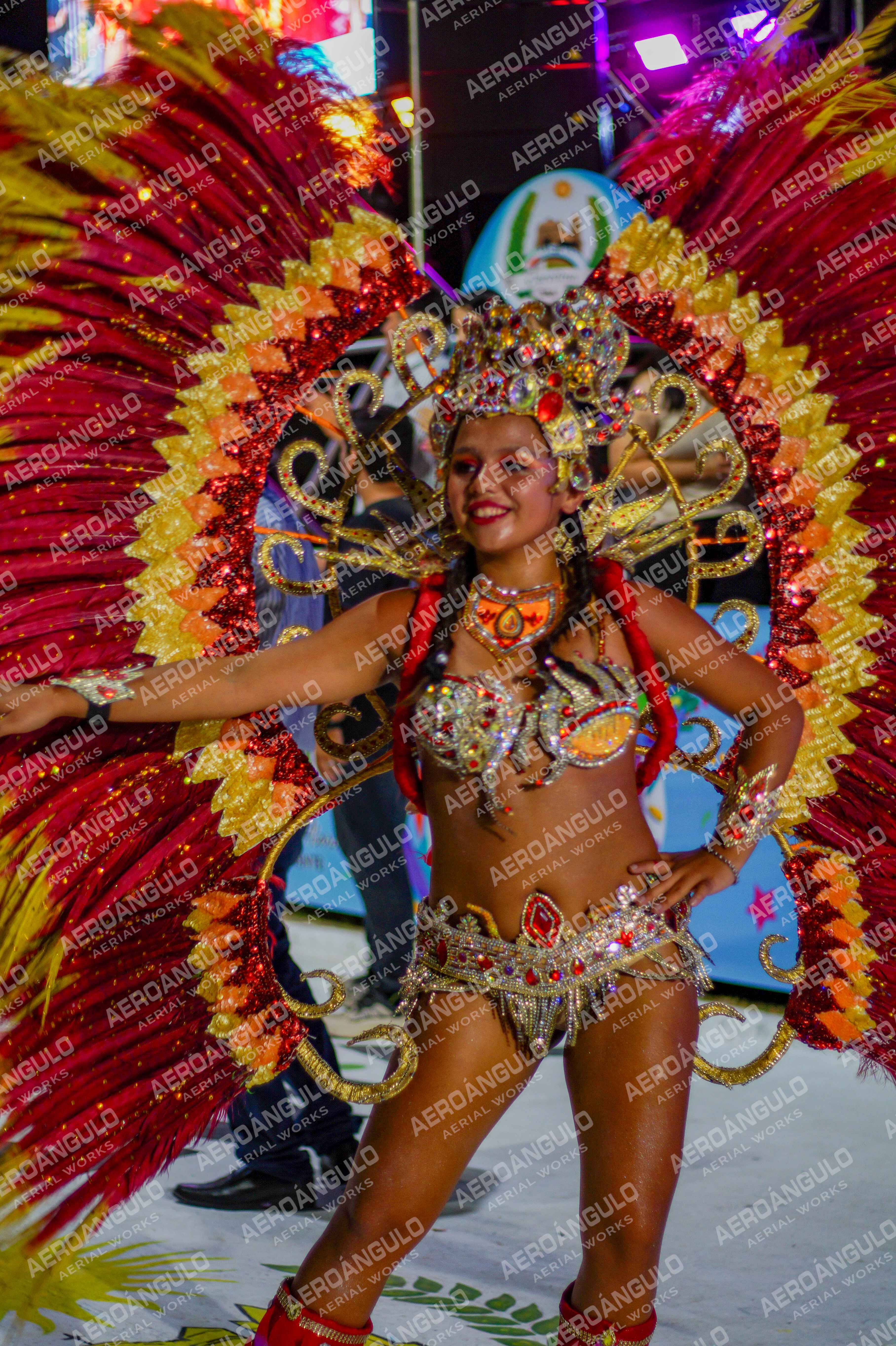 CAROCARNAVALESDIA1 N°369