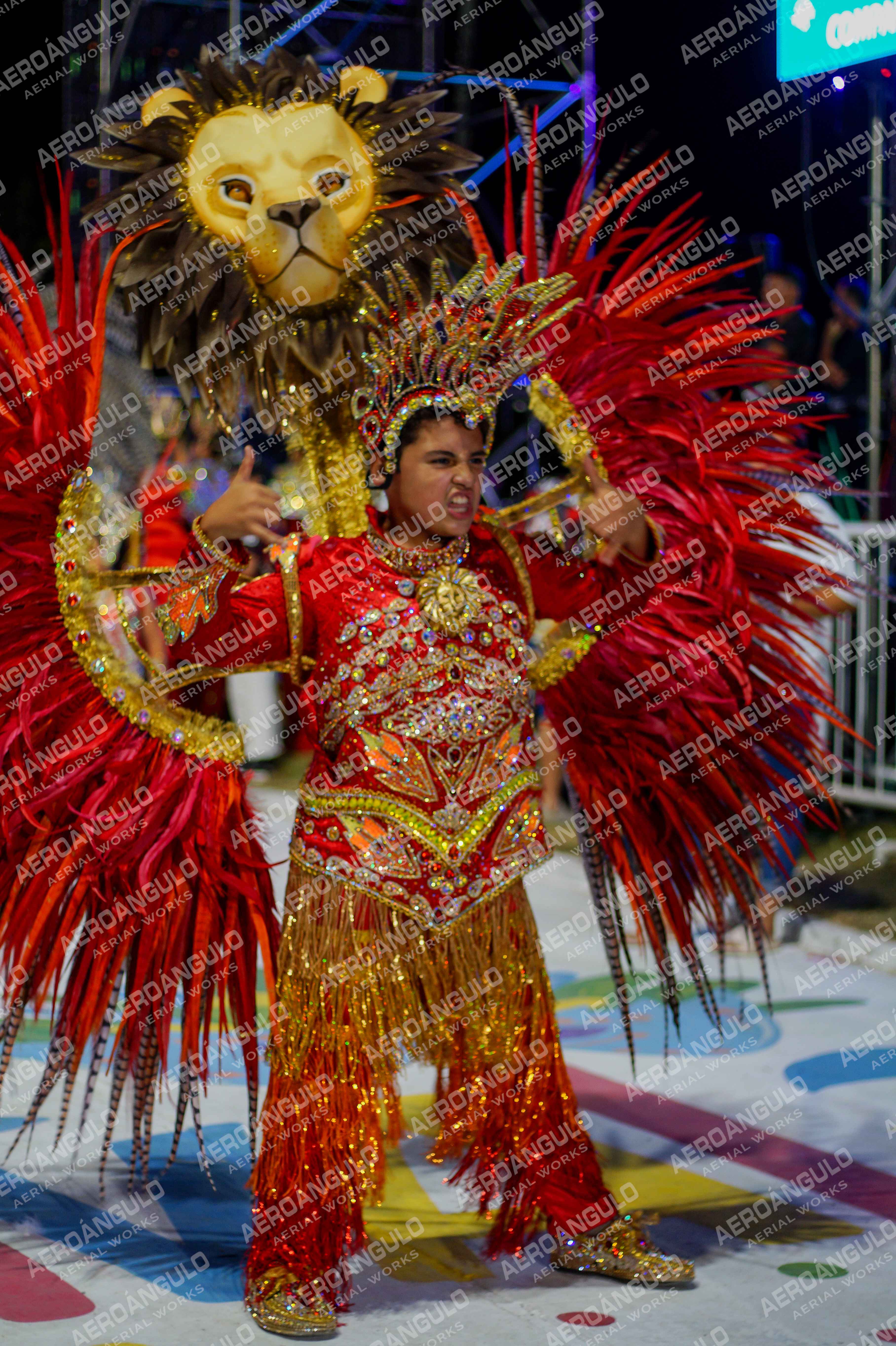 CAROCARNAVALESDIA1 N°370