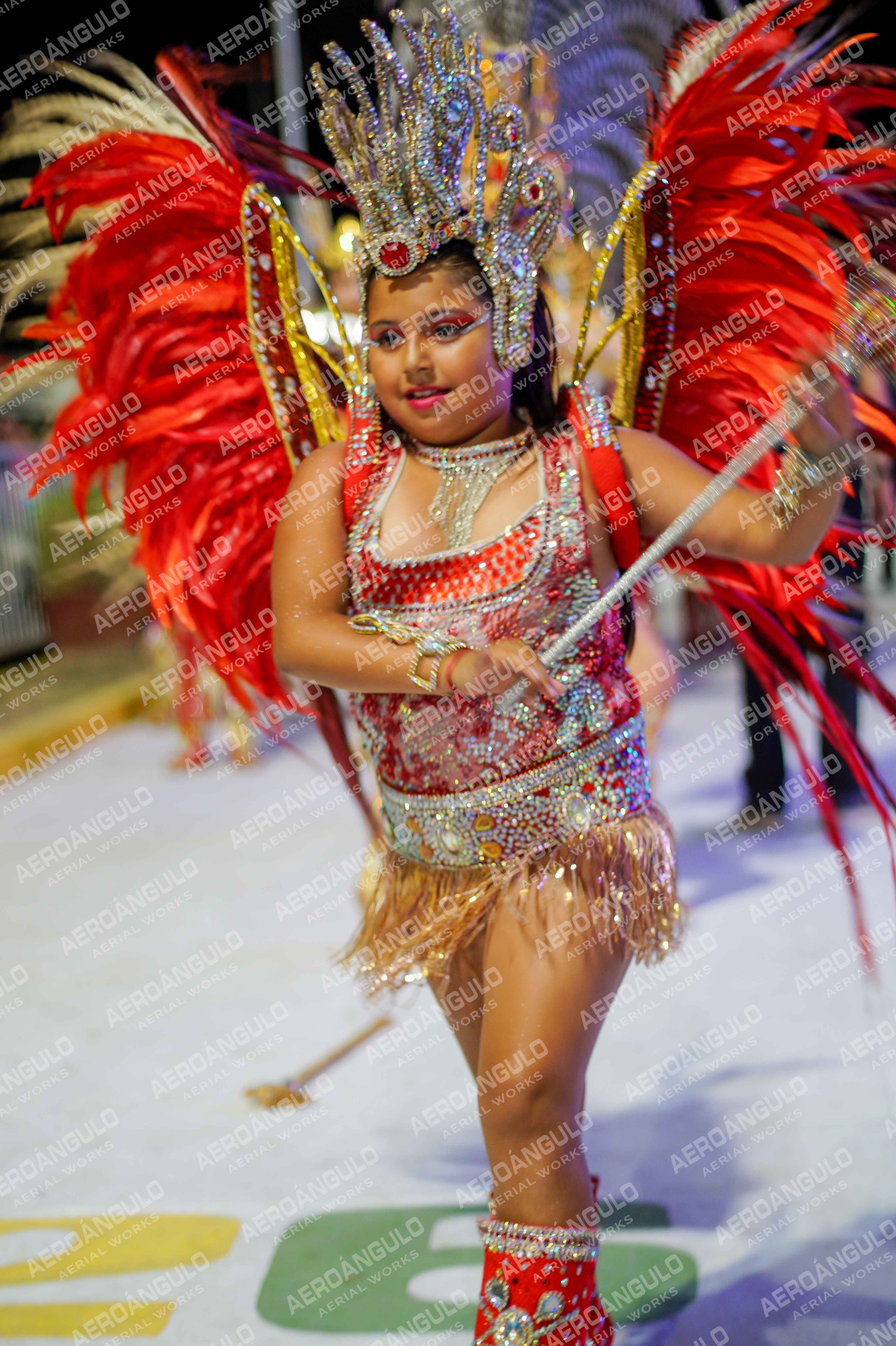 CAROCARNAVALESDIA1 N°371