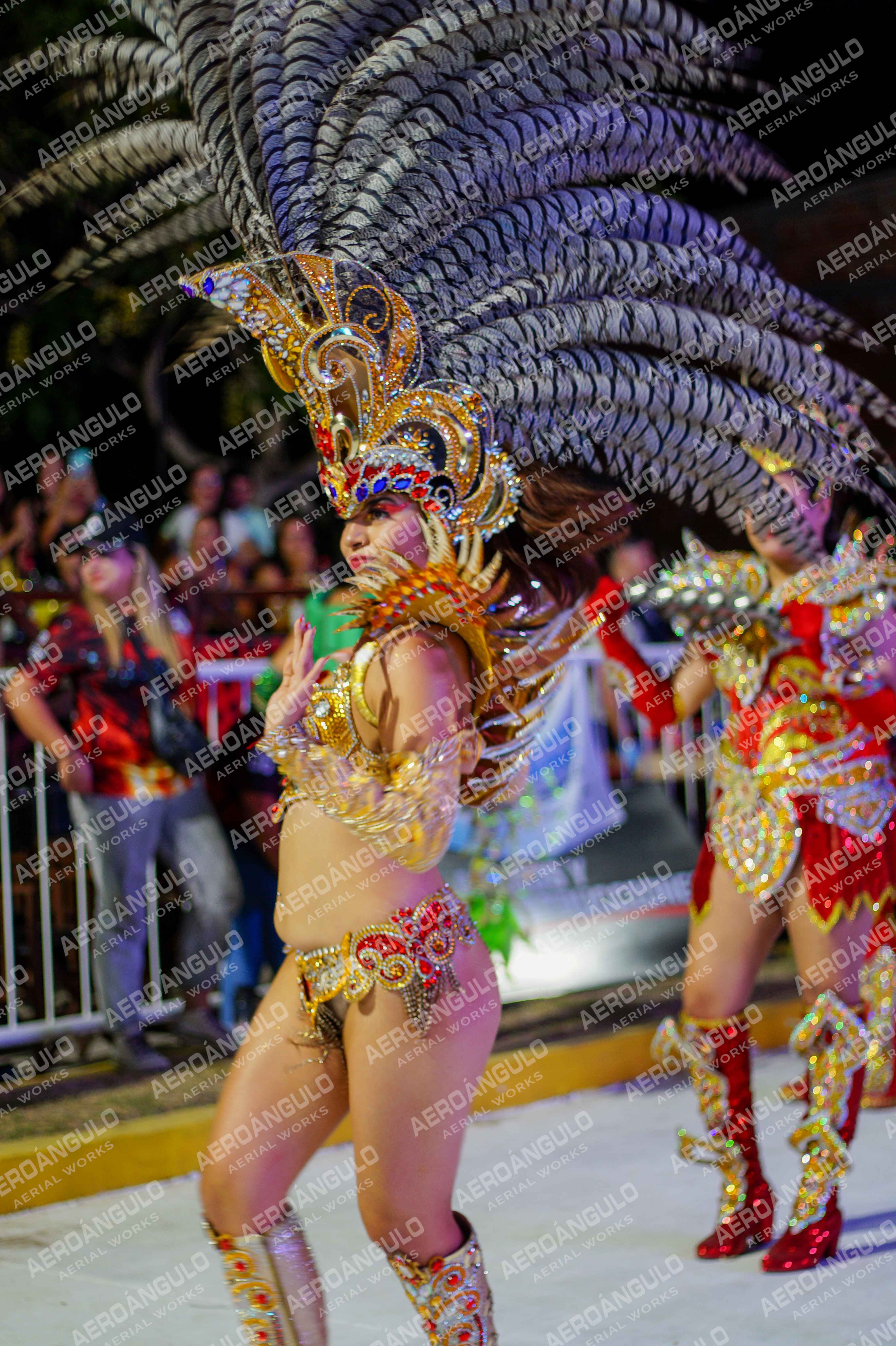 CAROCARNAVALESDIA1 N°372