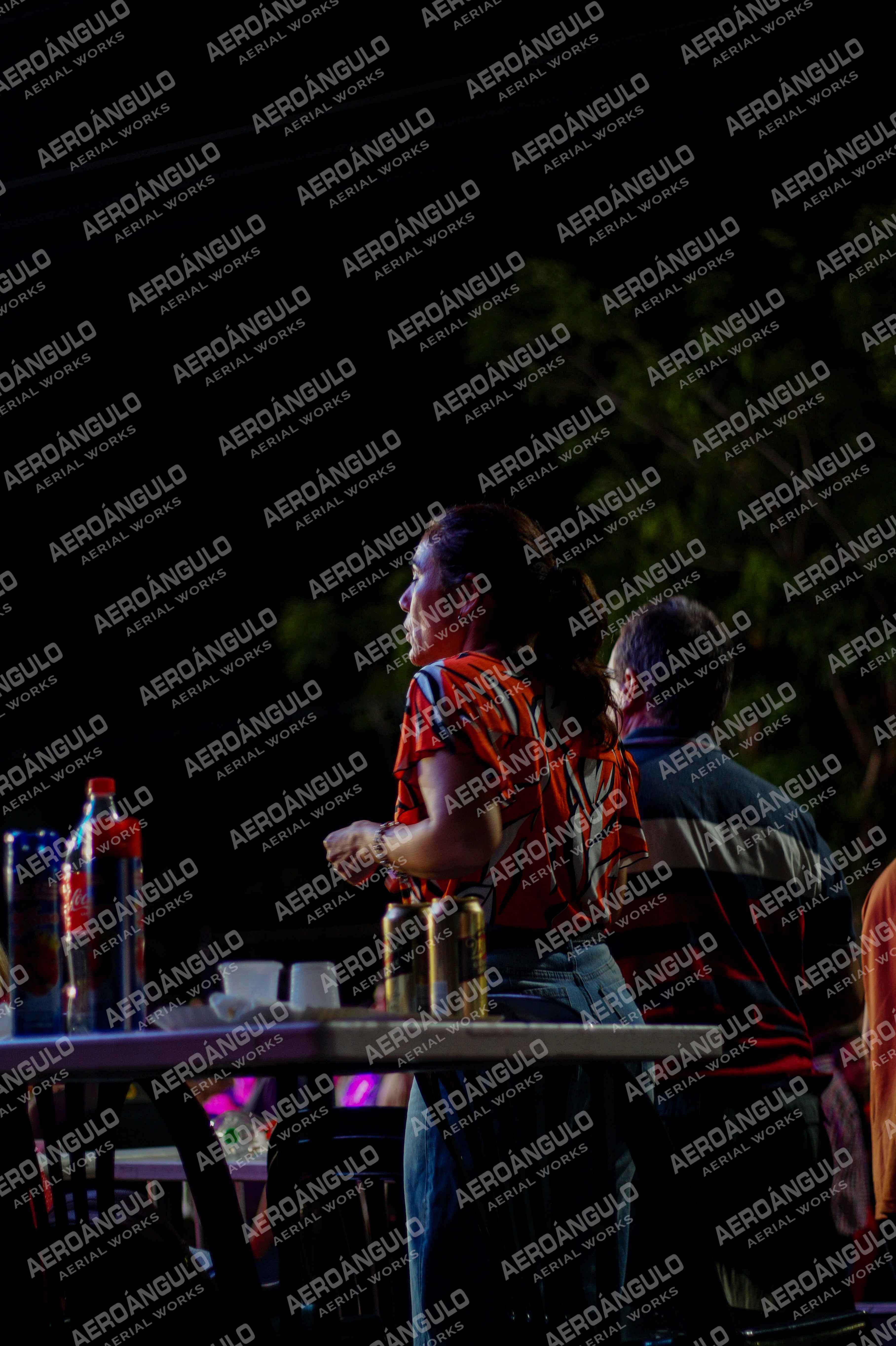 CAROCARNAVALESDIA1 N°379