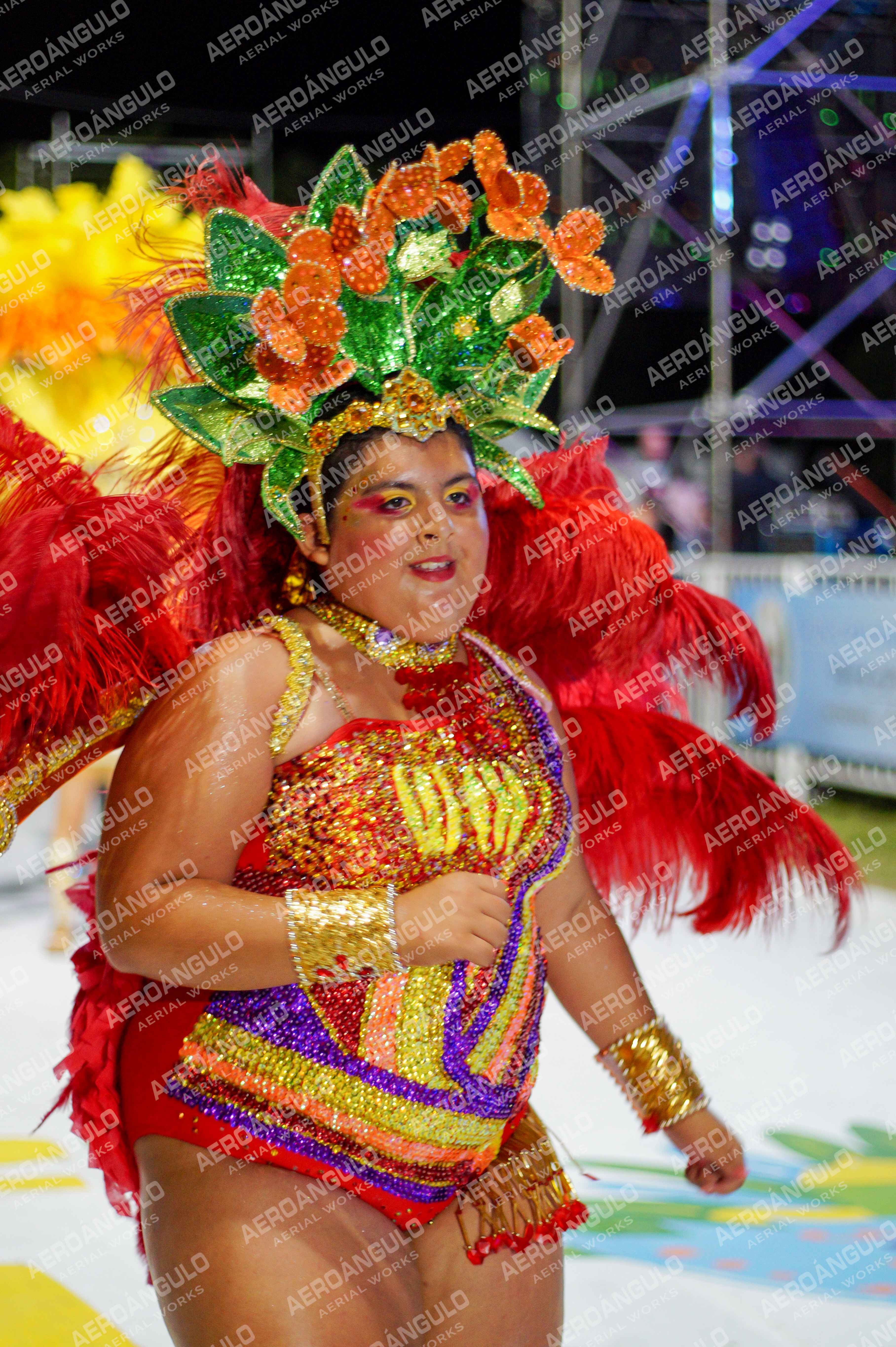 CAROCARNAVALESDIA1 N°46