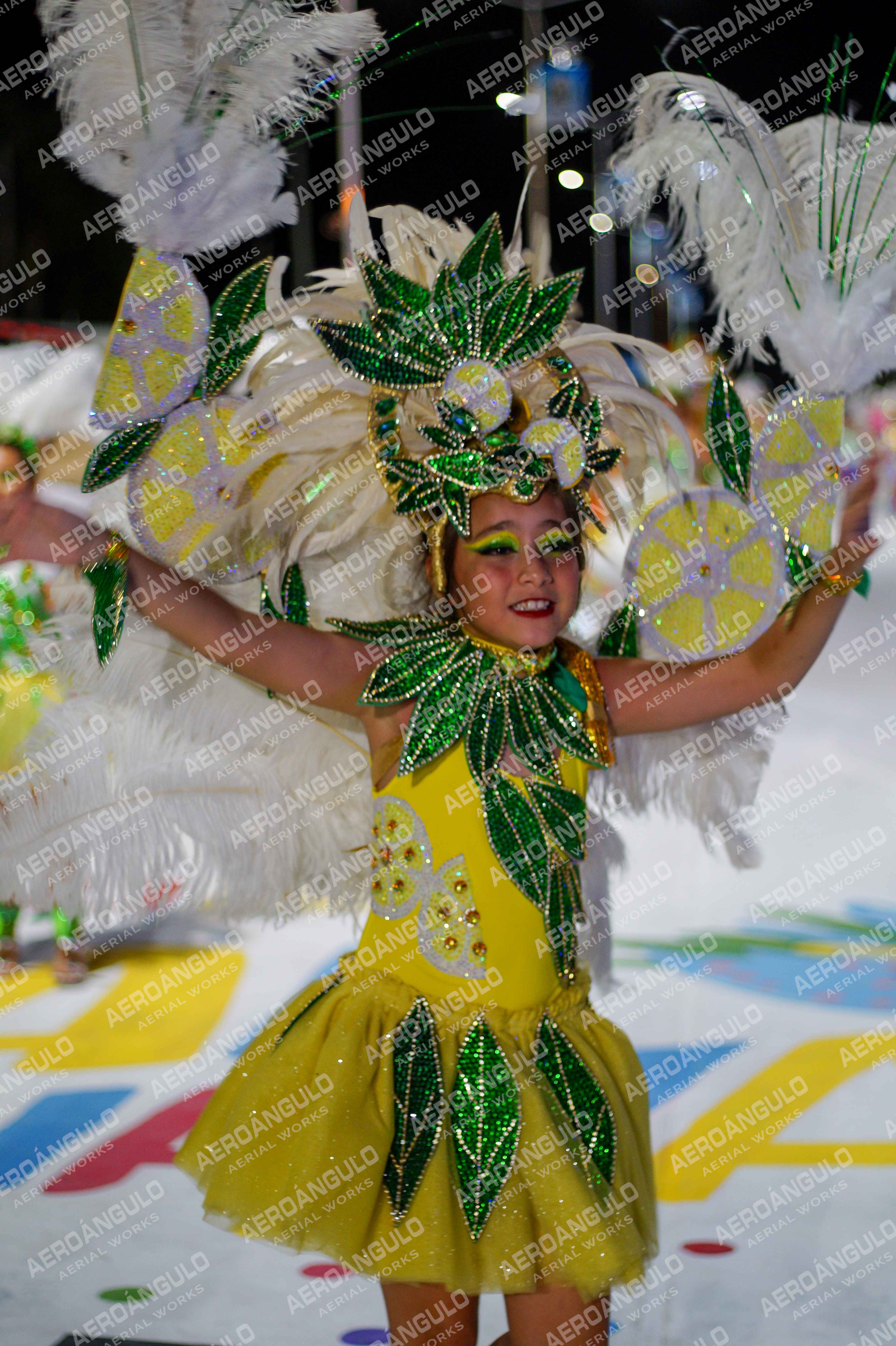 CAROCARNAVALESDIA1 N°60