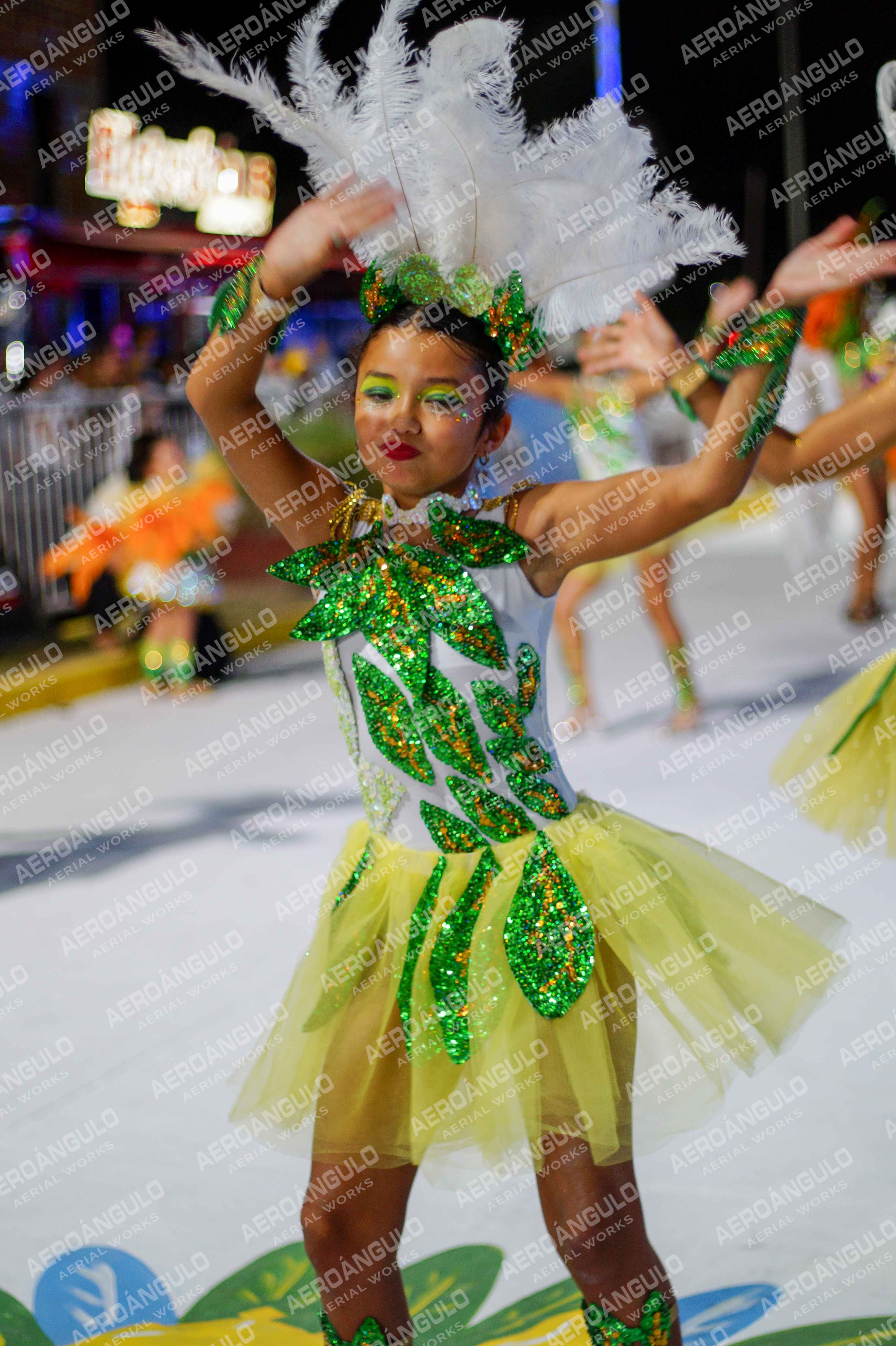 CAROCARNAVALESDIA1 N°63