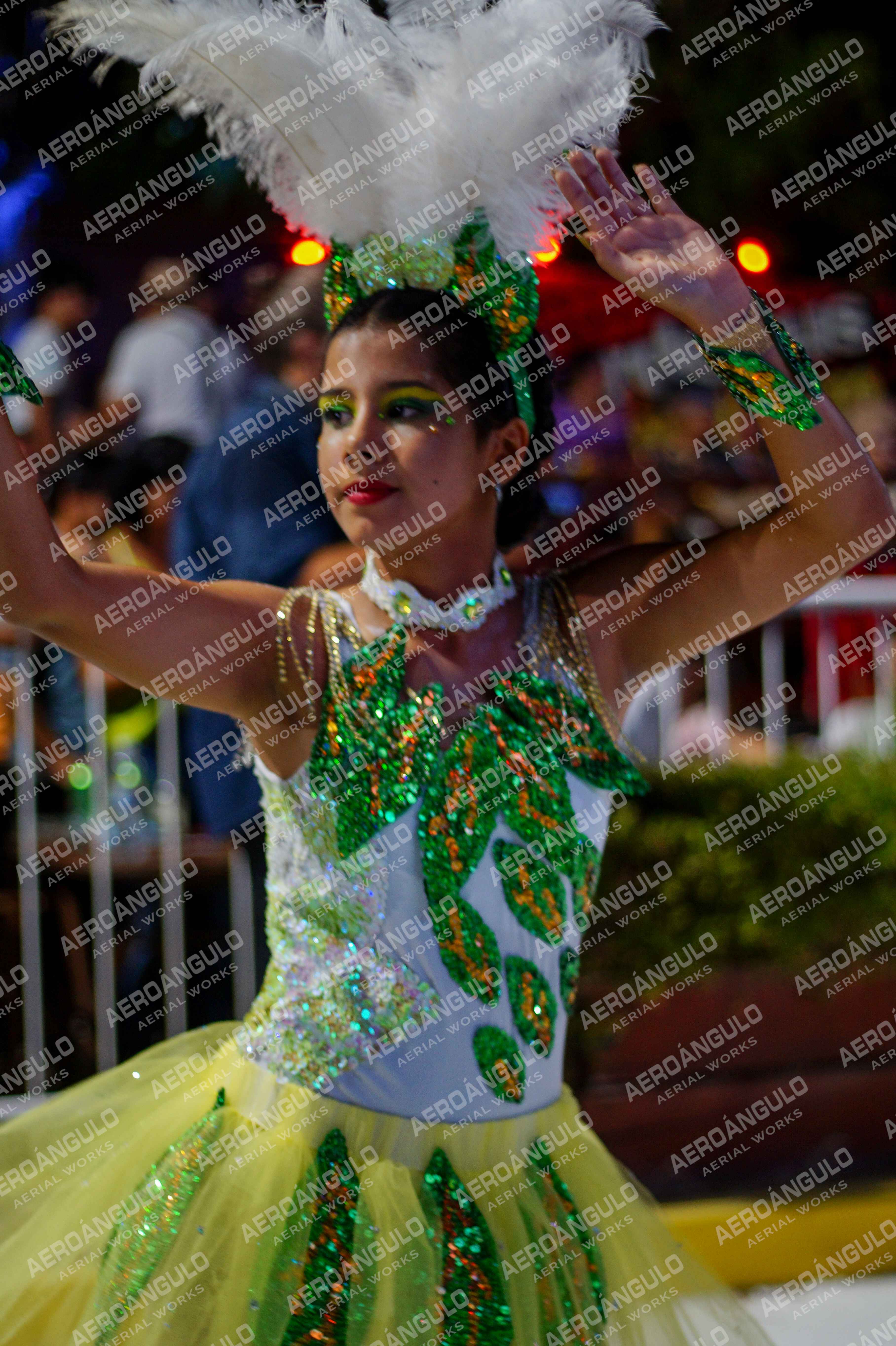 CAROCARNAVALESDIA1 N°66