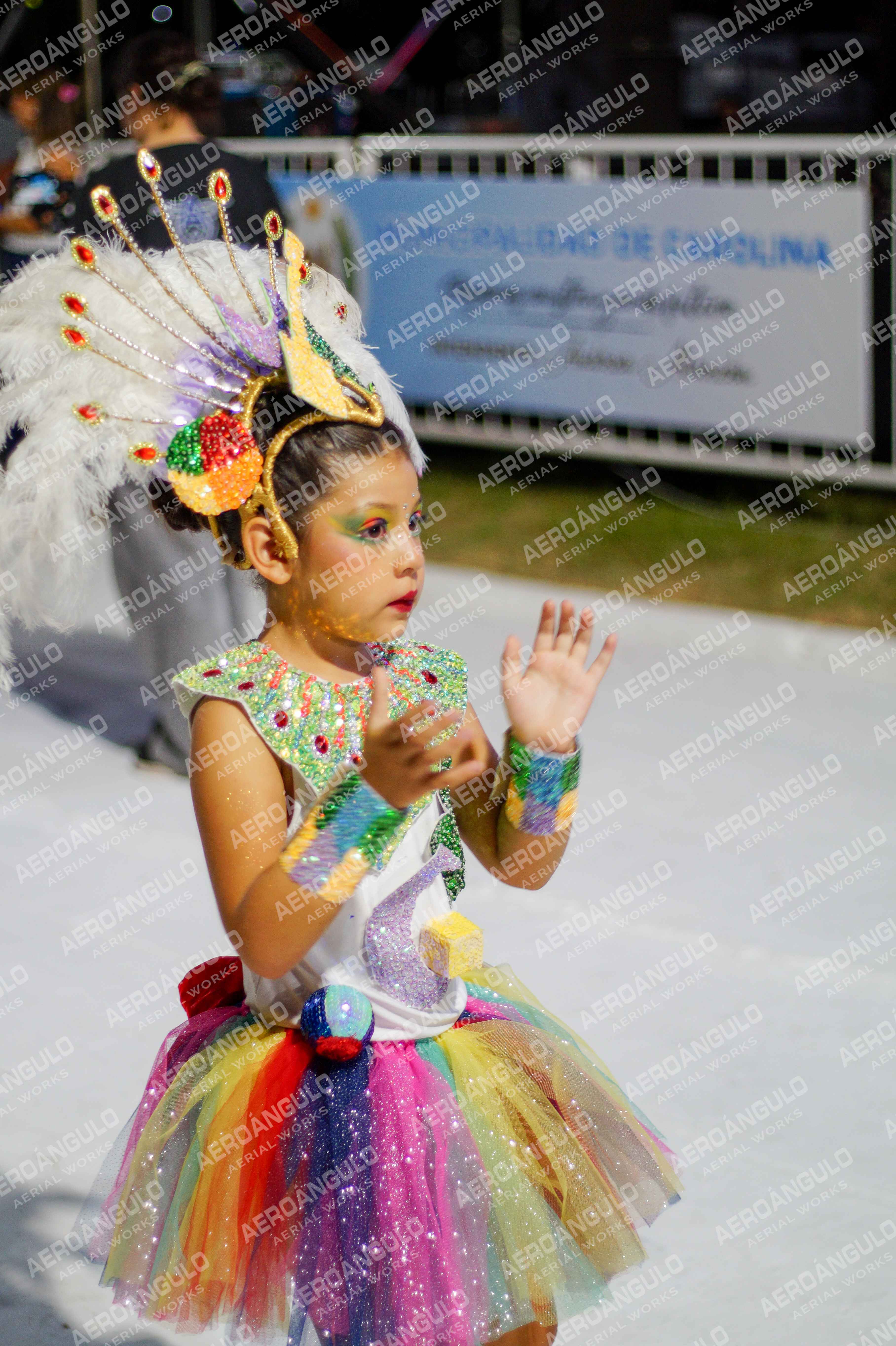 CAROCARNAVALESDIA1 N°71