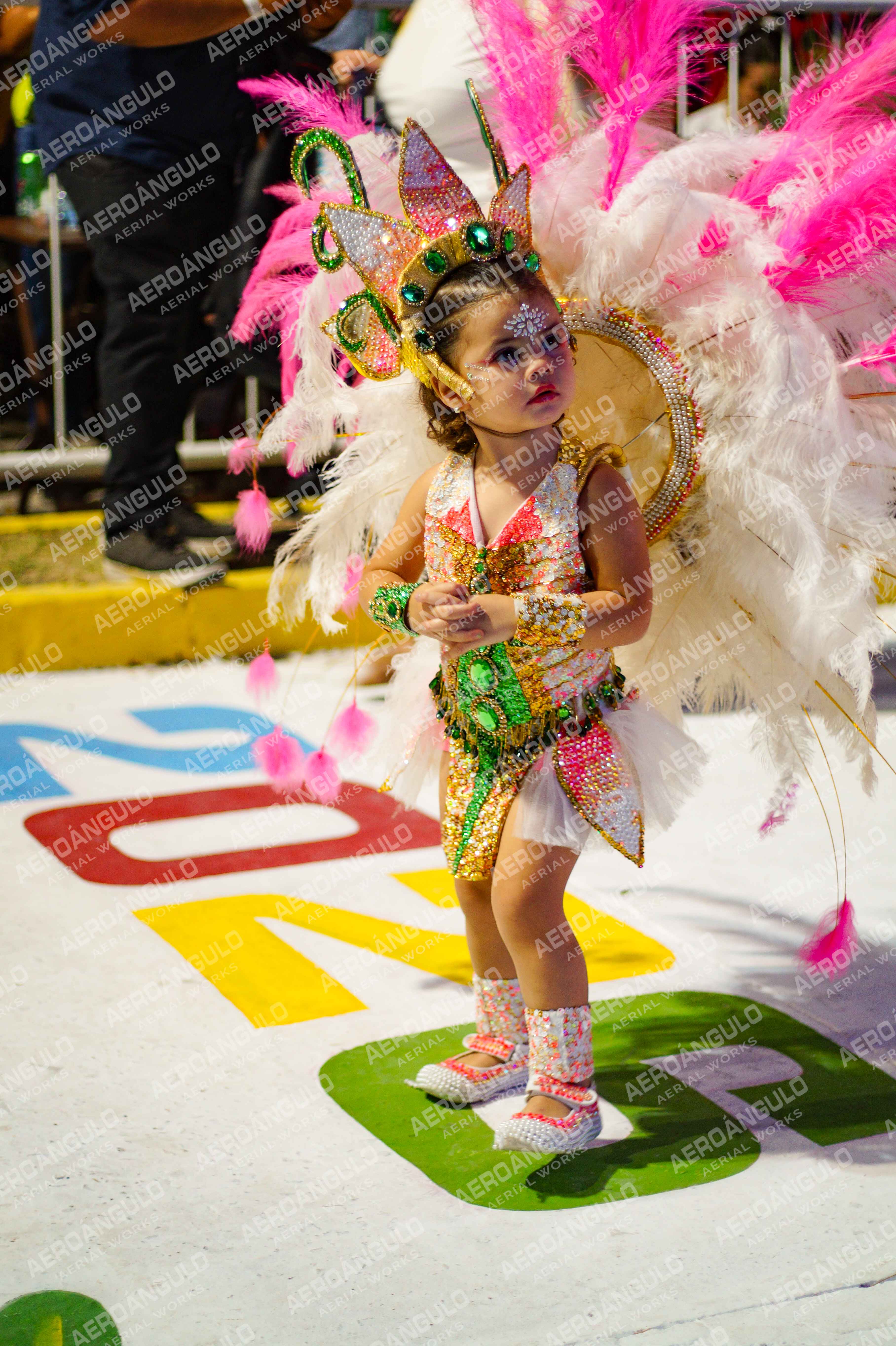 CAROCARNAVALESDIA1 N°79