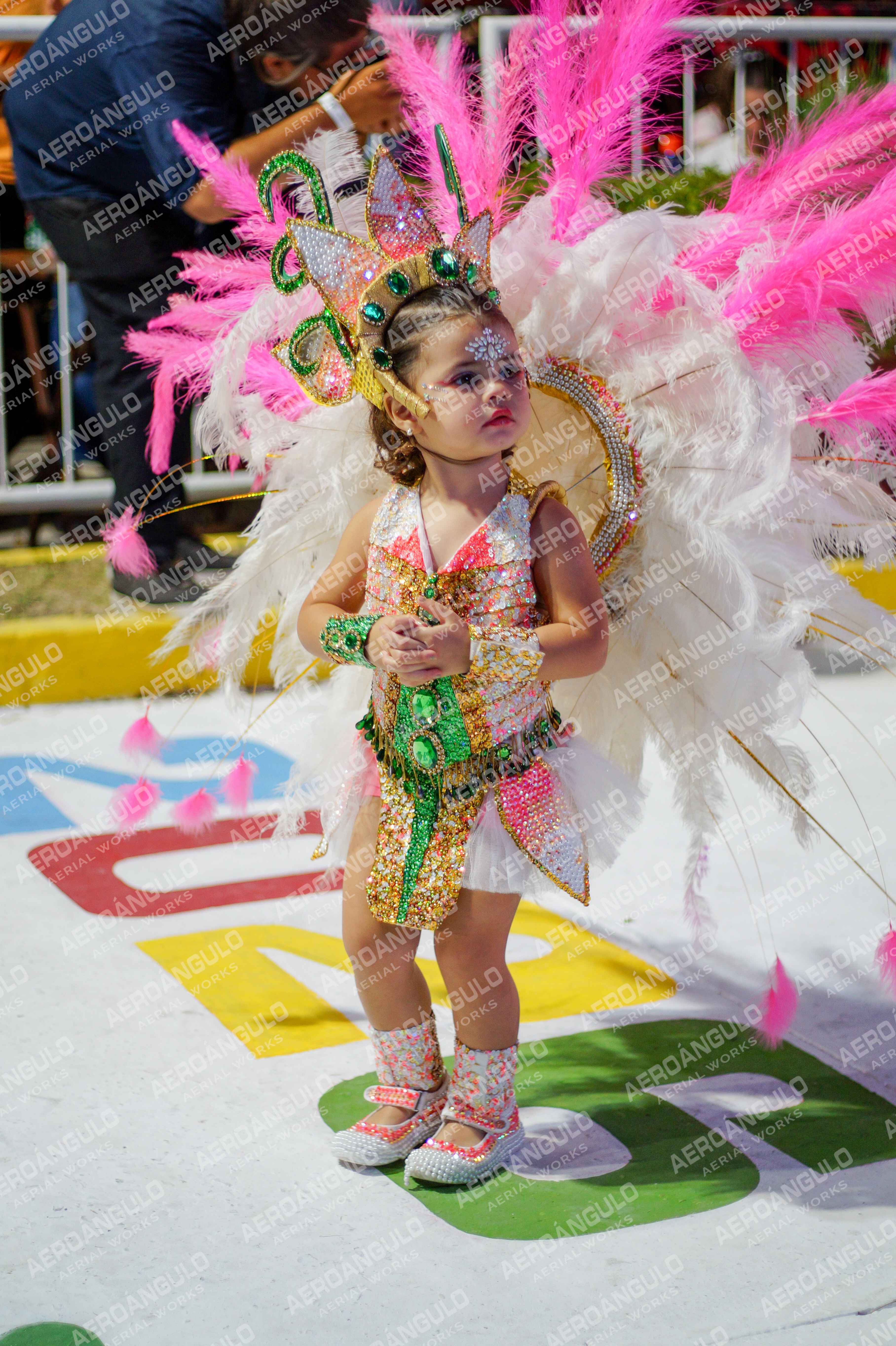 CAROCARNAVALESDIA1 N°80