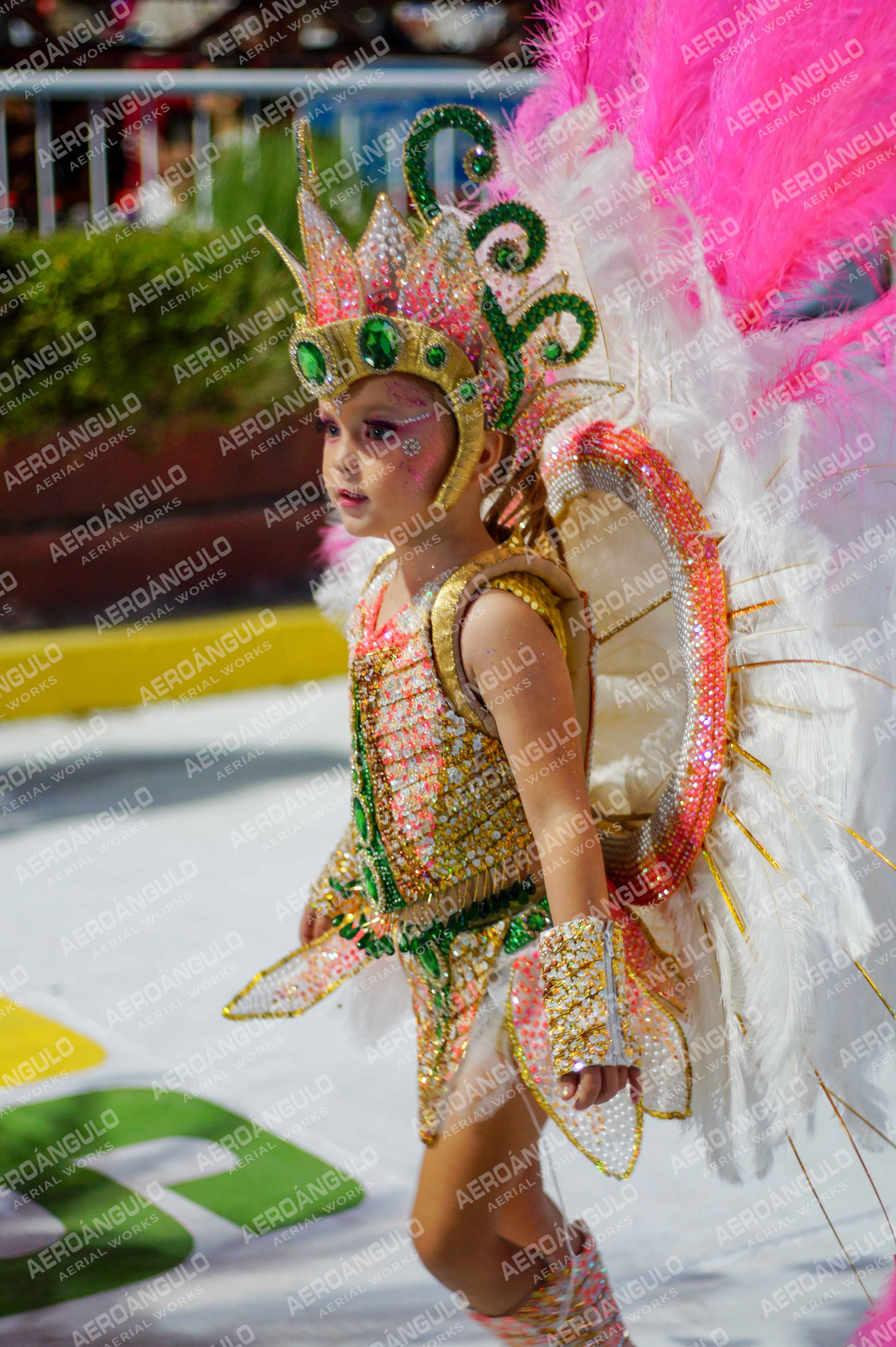 CAROCARNAVALESDIA1 N°81