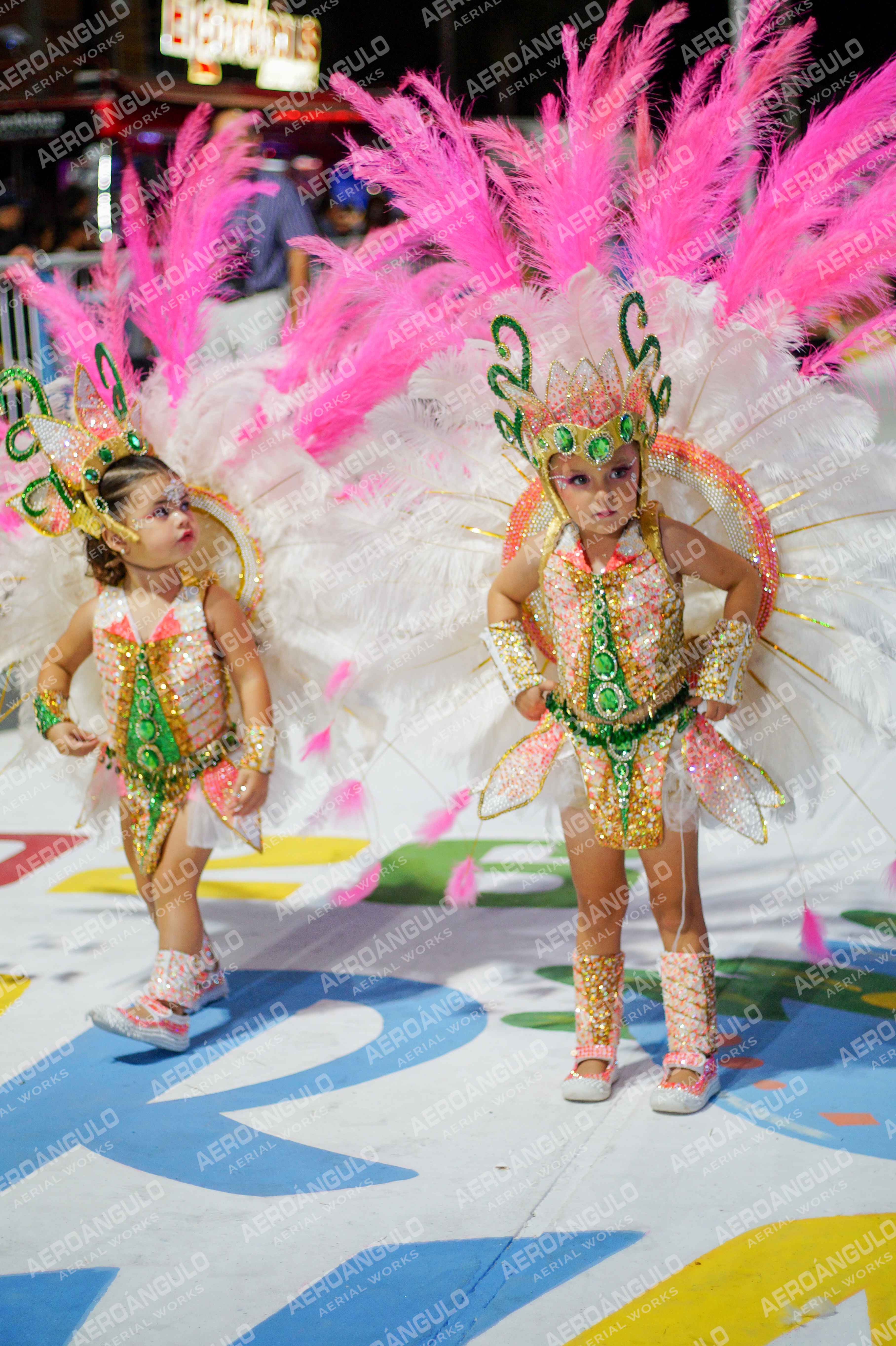 CAROCARNAVALESDIA1 N°82