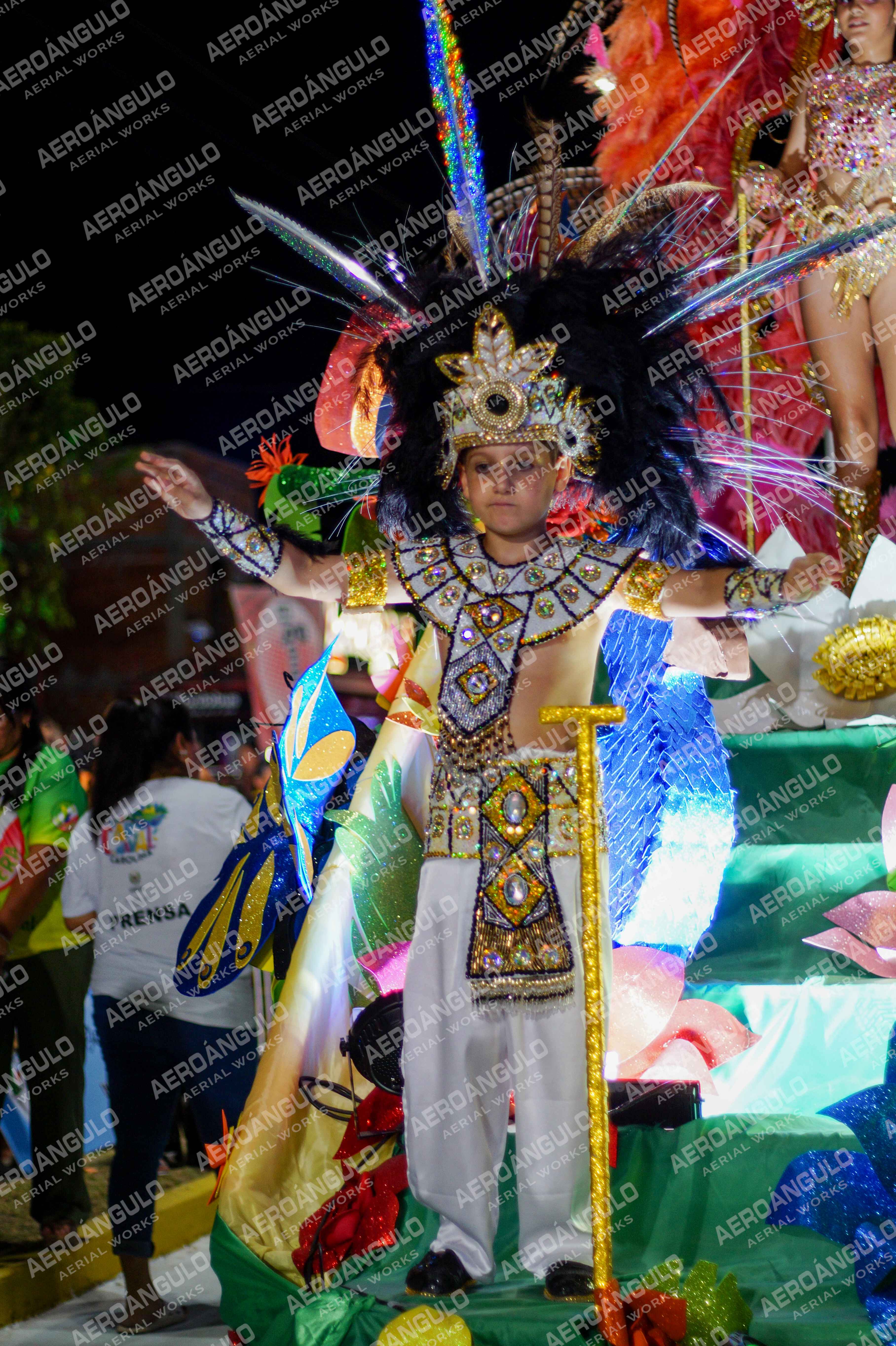 CAROCARNAVALESDIA1 N°84