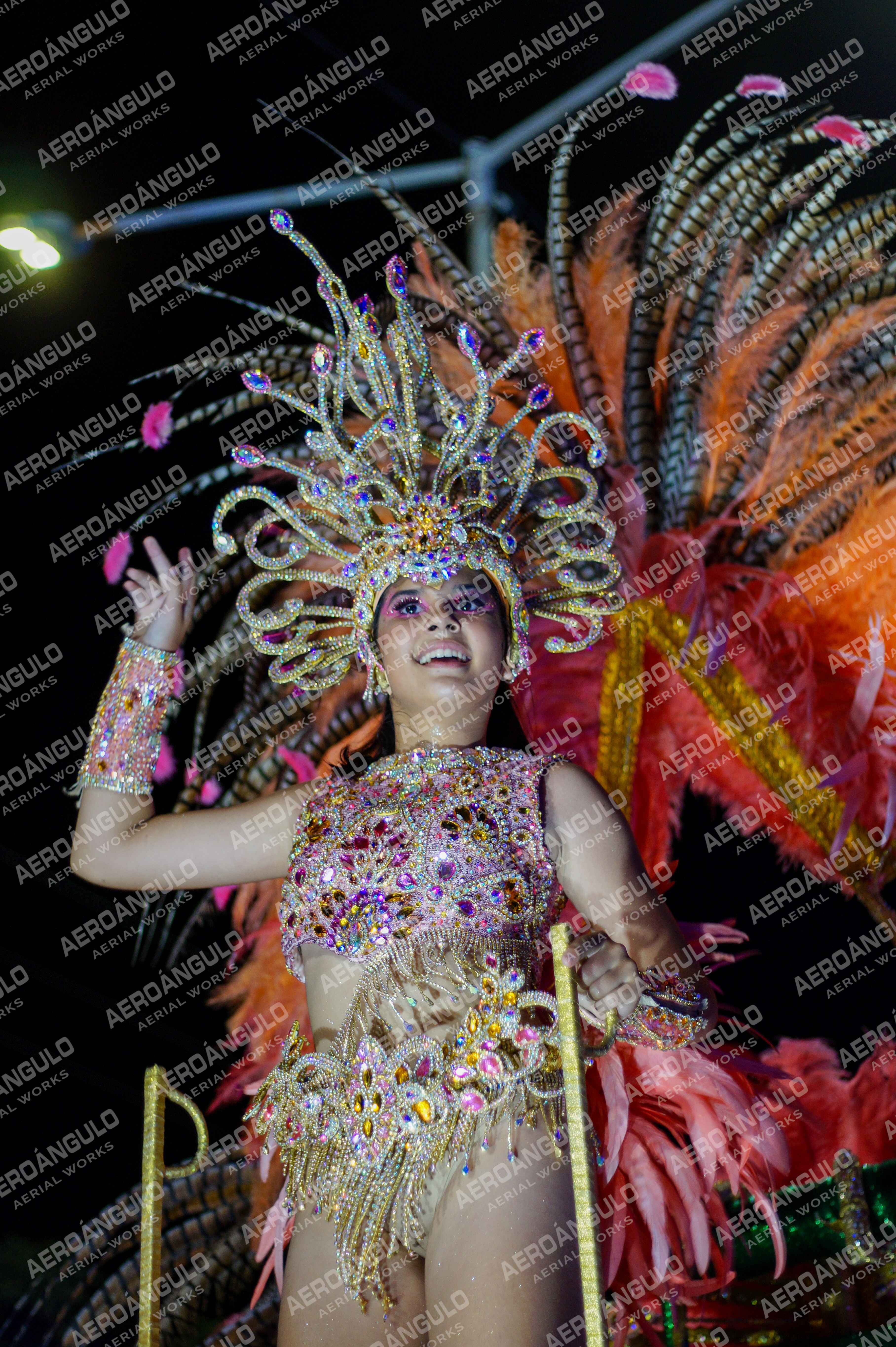 CAROCARNAVALESDIA1 N°85