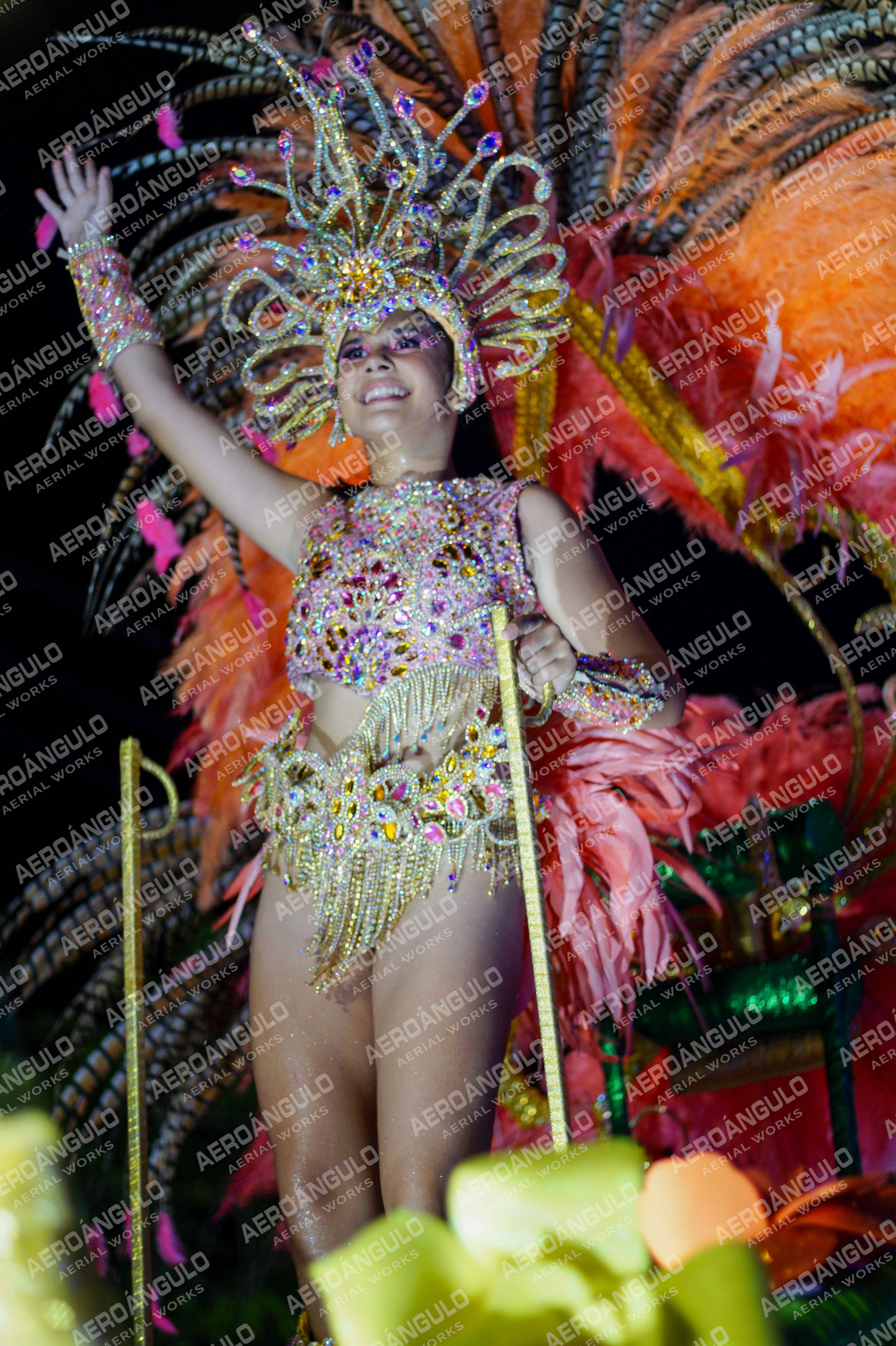 CAROCARNAVALESDIA1 N°86