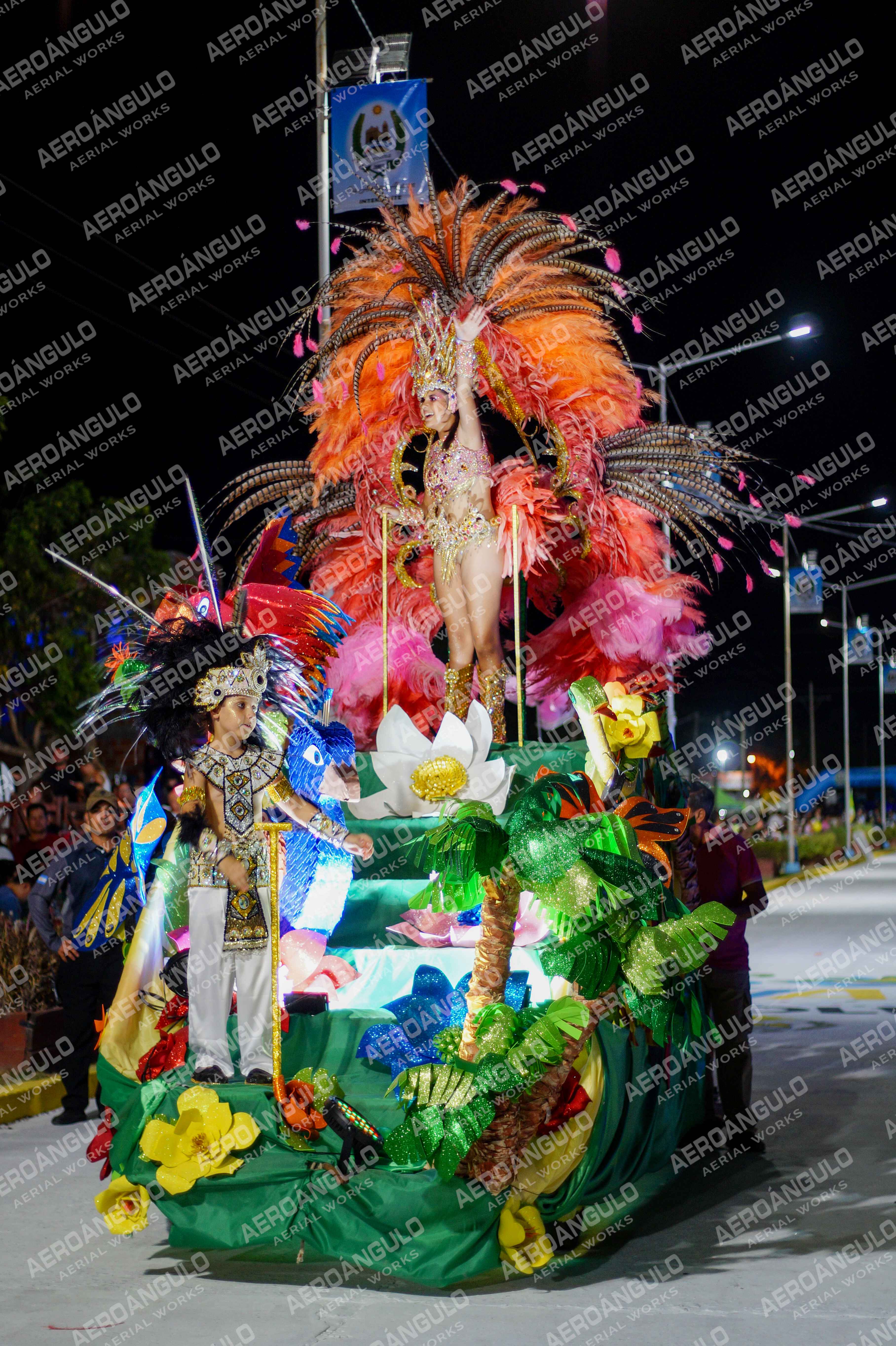 CAROCARNAVALESDIA1 N°87