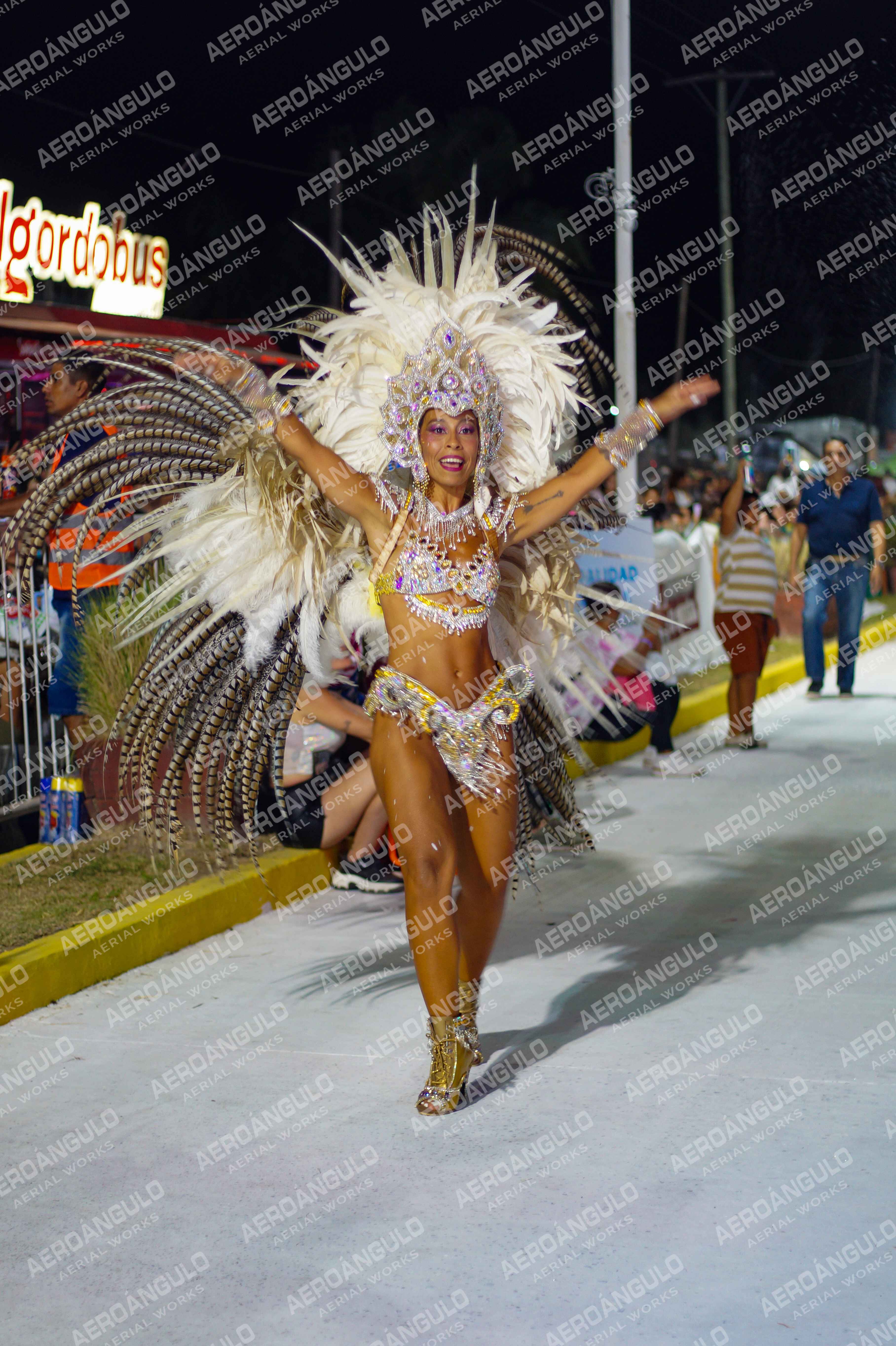 CAROCARNAVALESDIA1 N°94