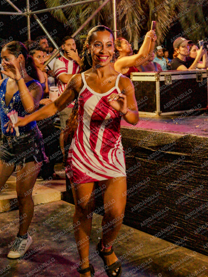 INGA Nº177