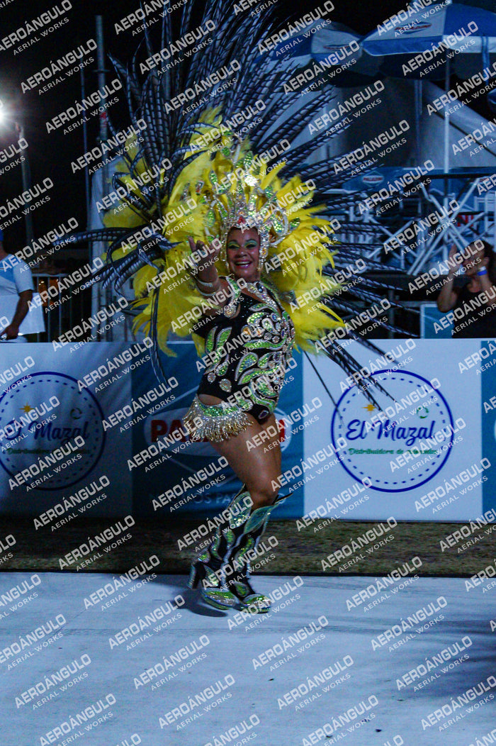 GoyaDia1 N°111
