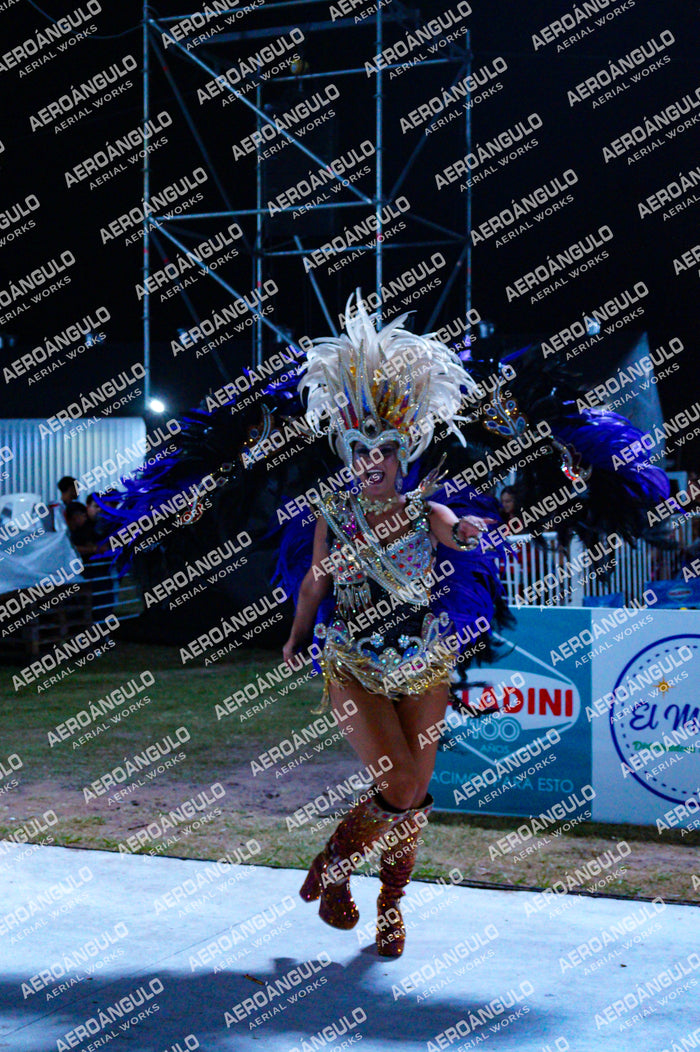 GoyaDia1 N°124