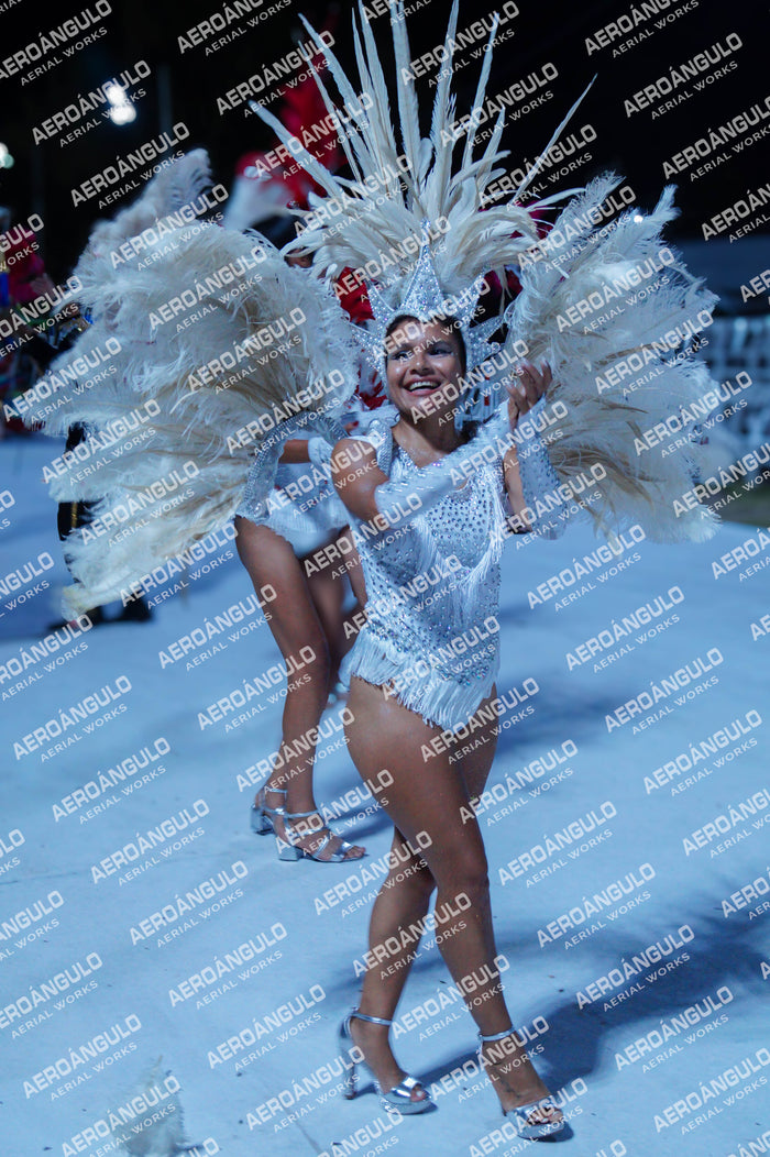 GoyaDia1 N°14