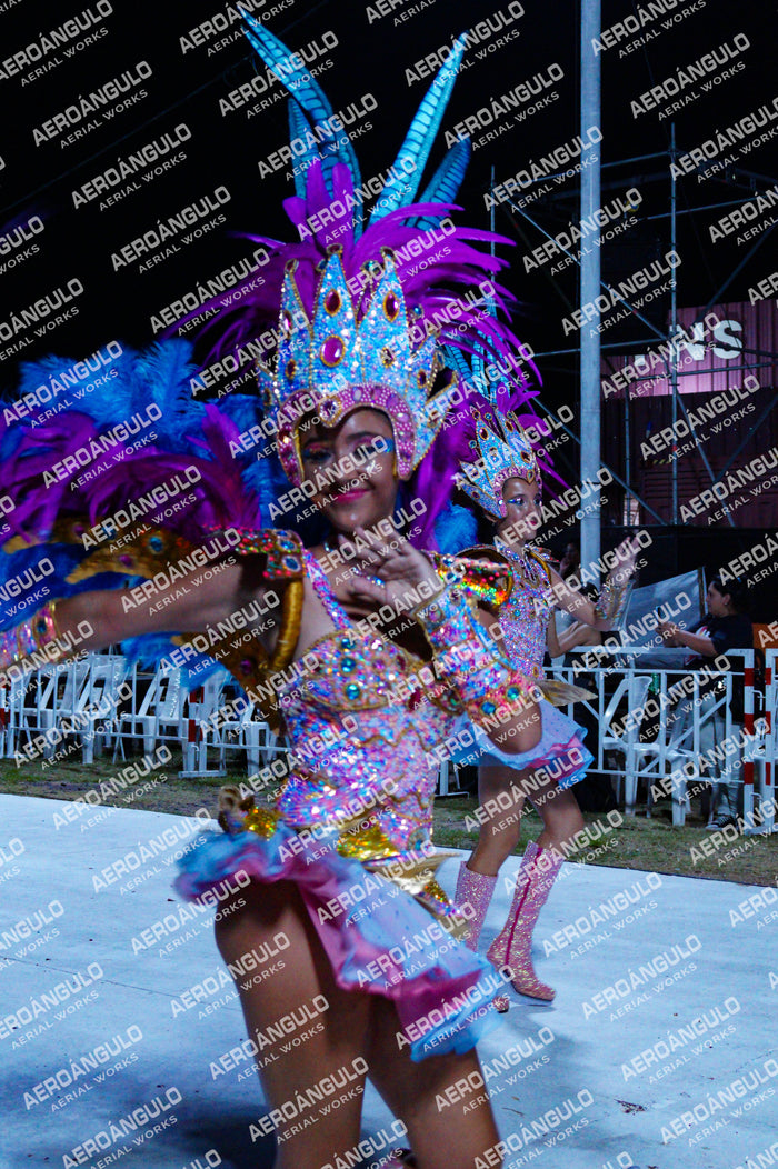 GoyaDia1 N°141