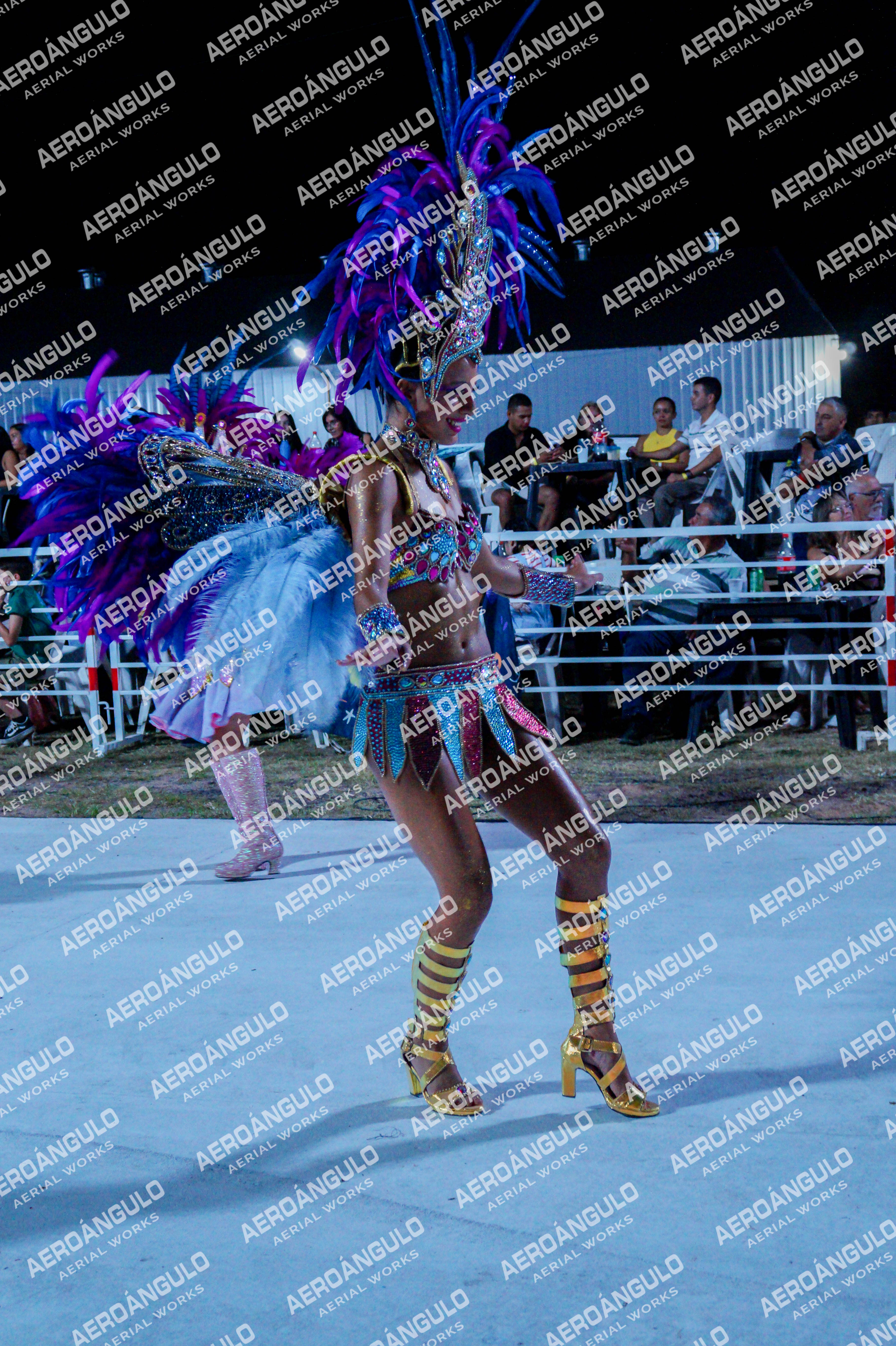 GoyaDia1 N°143