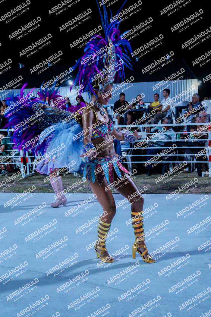 GoyaDia1 N°143