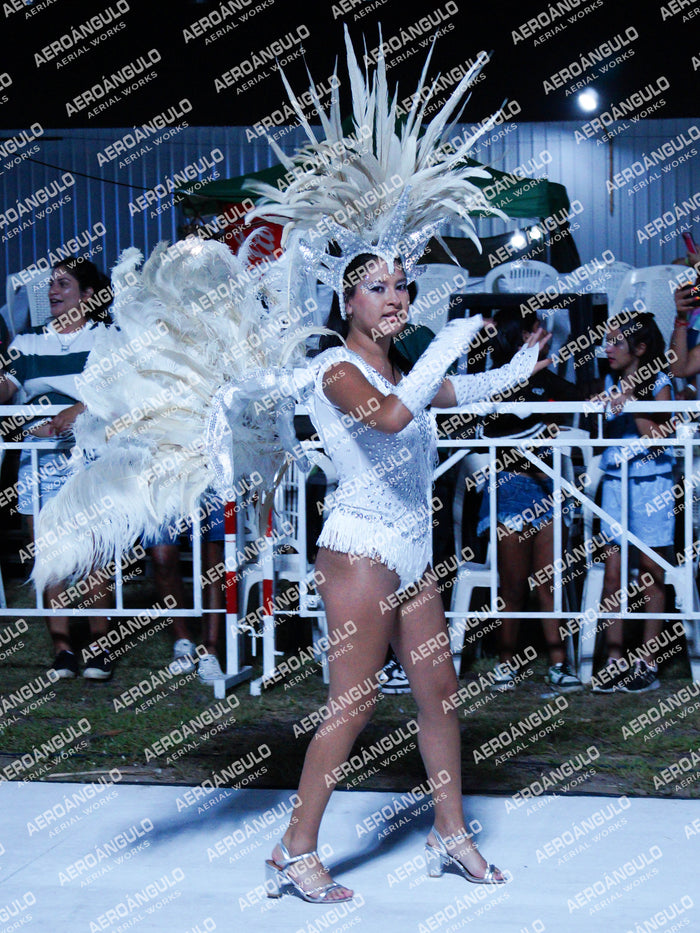 GoyaDia1 N°15