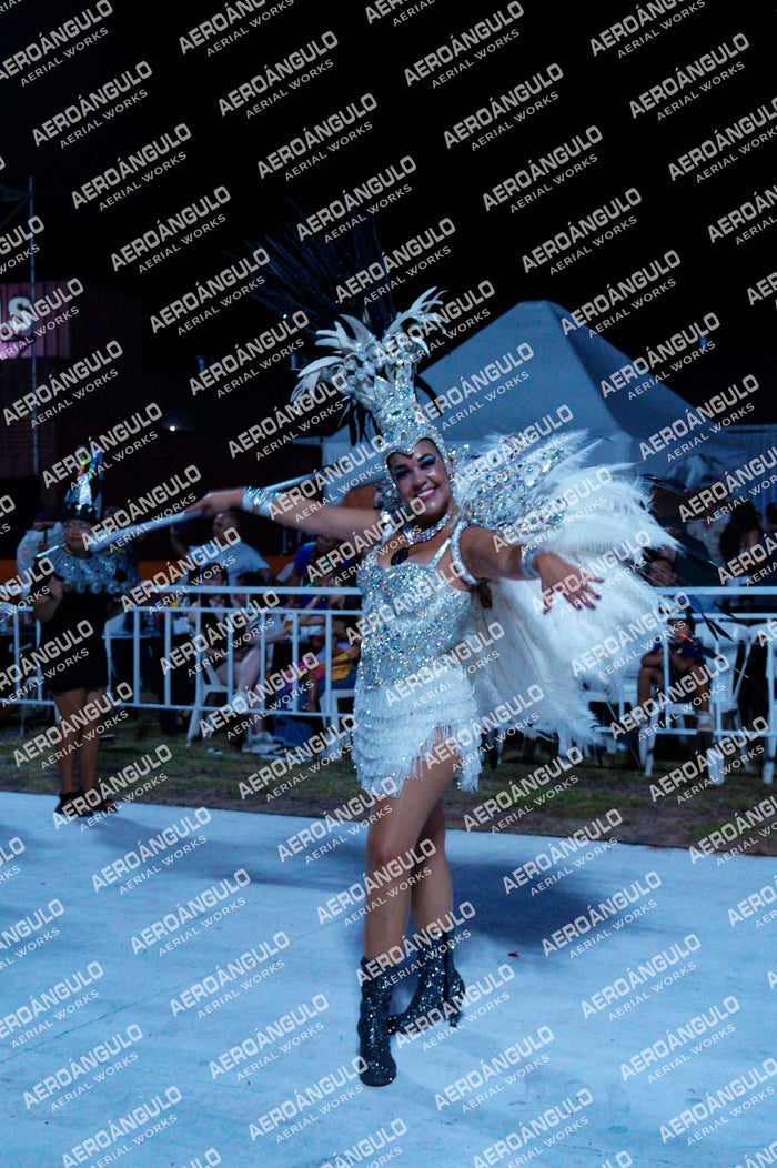 GoyaDia1 N°153