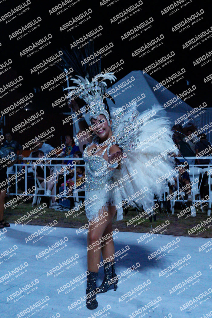 GoyaDia1 N°154